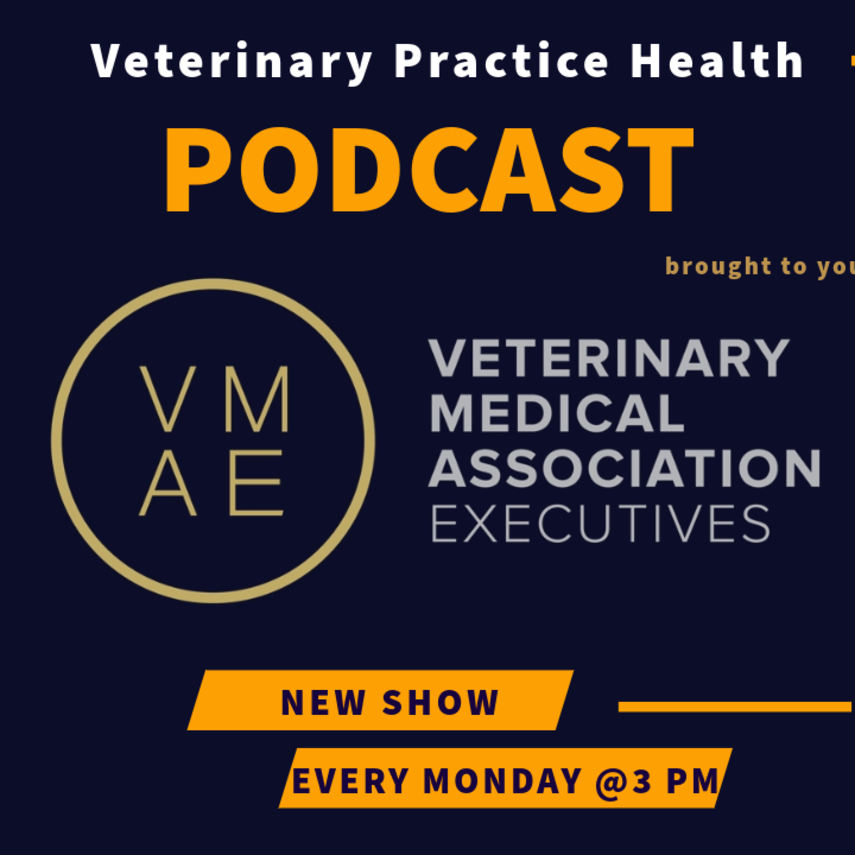 Conflict Resolution : A VMAE Podcast Series (Part 1) episode artwork