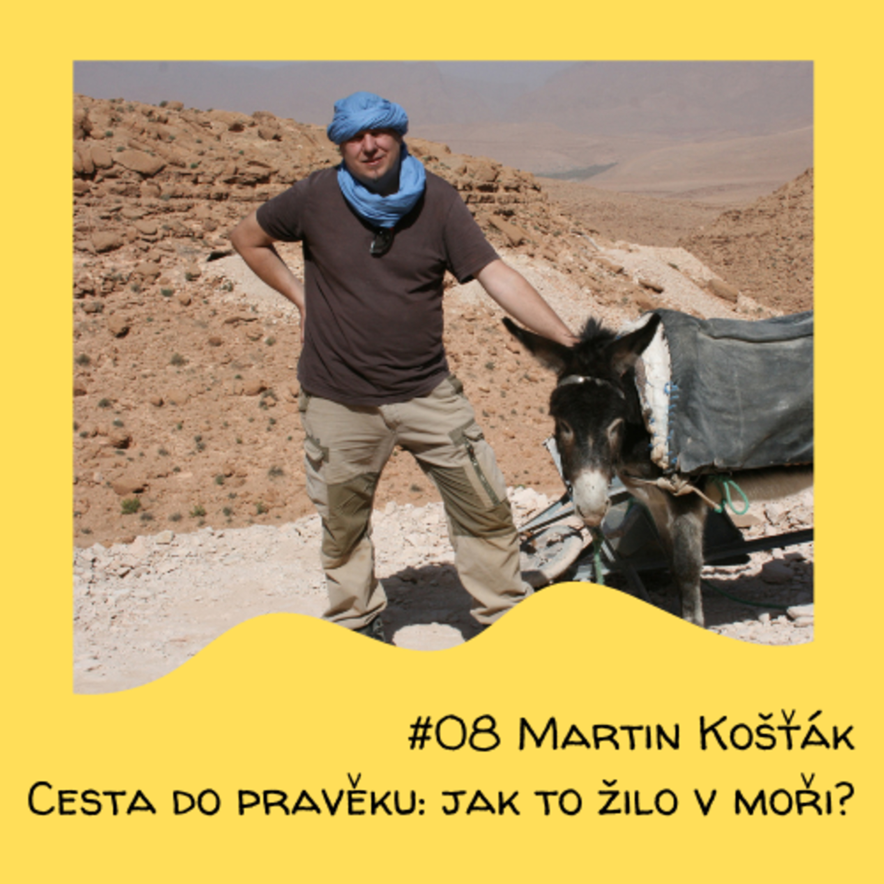 #08 Martin Košťák - Cesta do pravěku: jak to žilo v moři? episode artwork