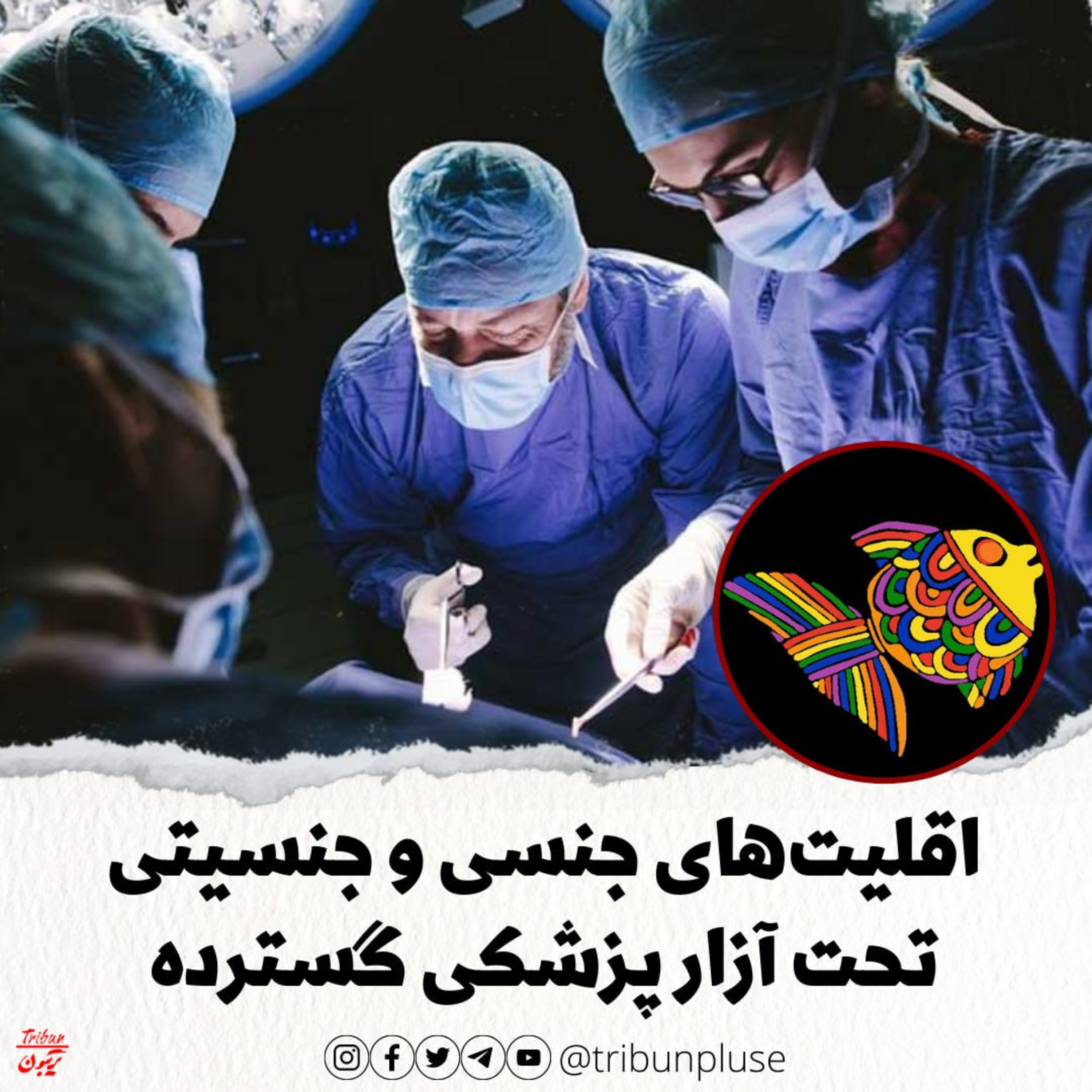 اقلیت‌های جنسی و جنسیتی تحت آزار پزشکی گسترده برای تغییر گرایش یا هویت خود episode artwork