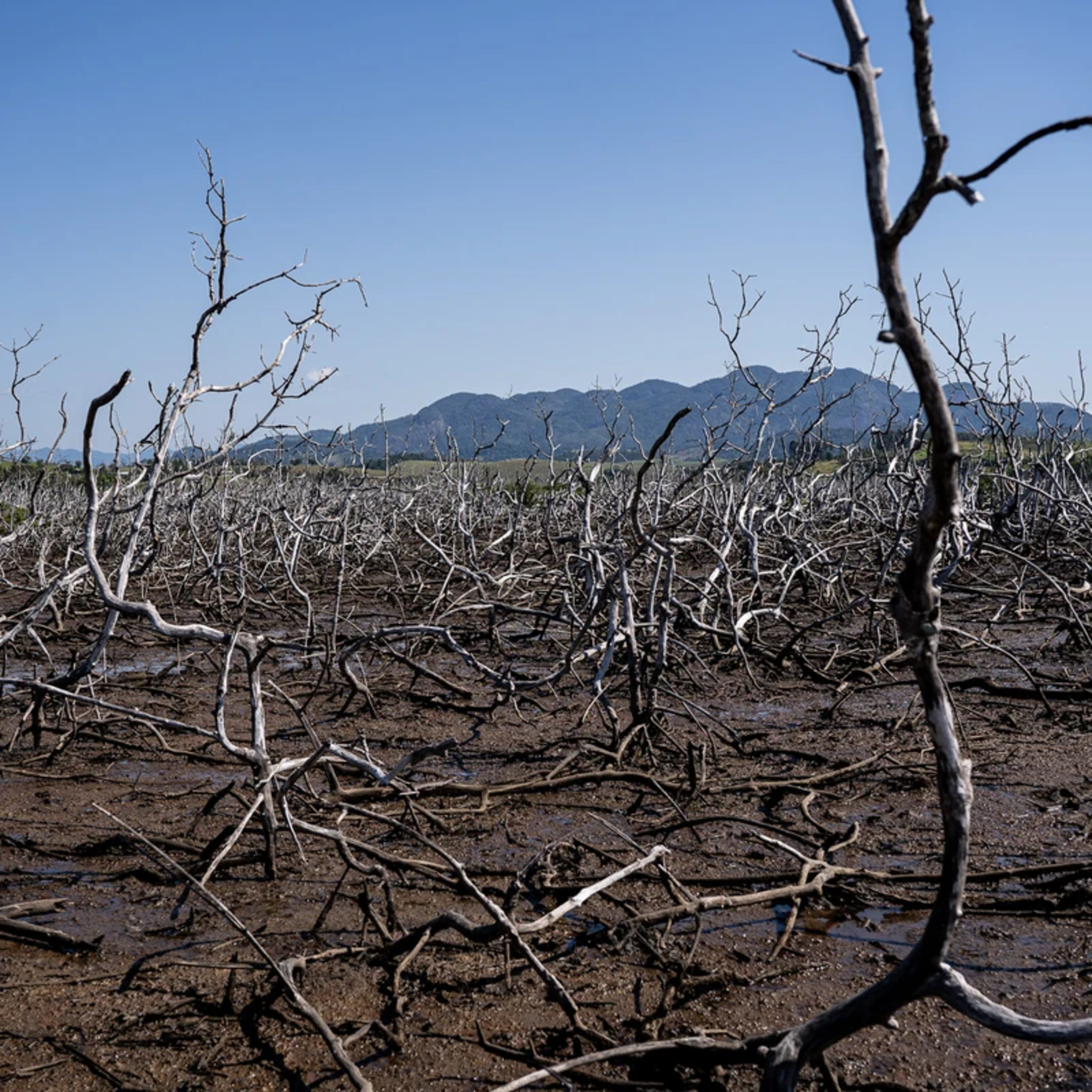 O que é a emergência climática?