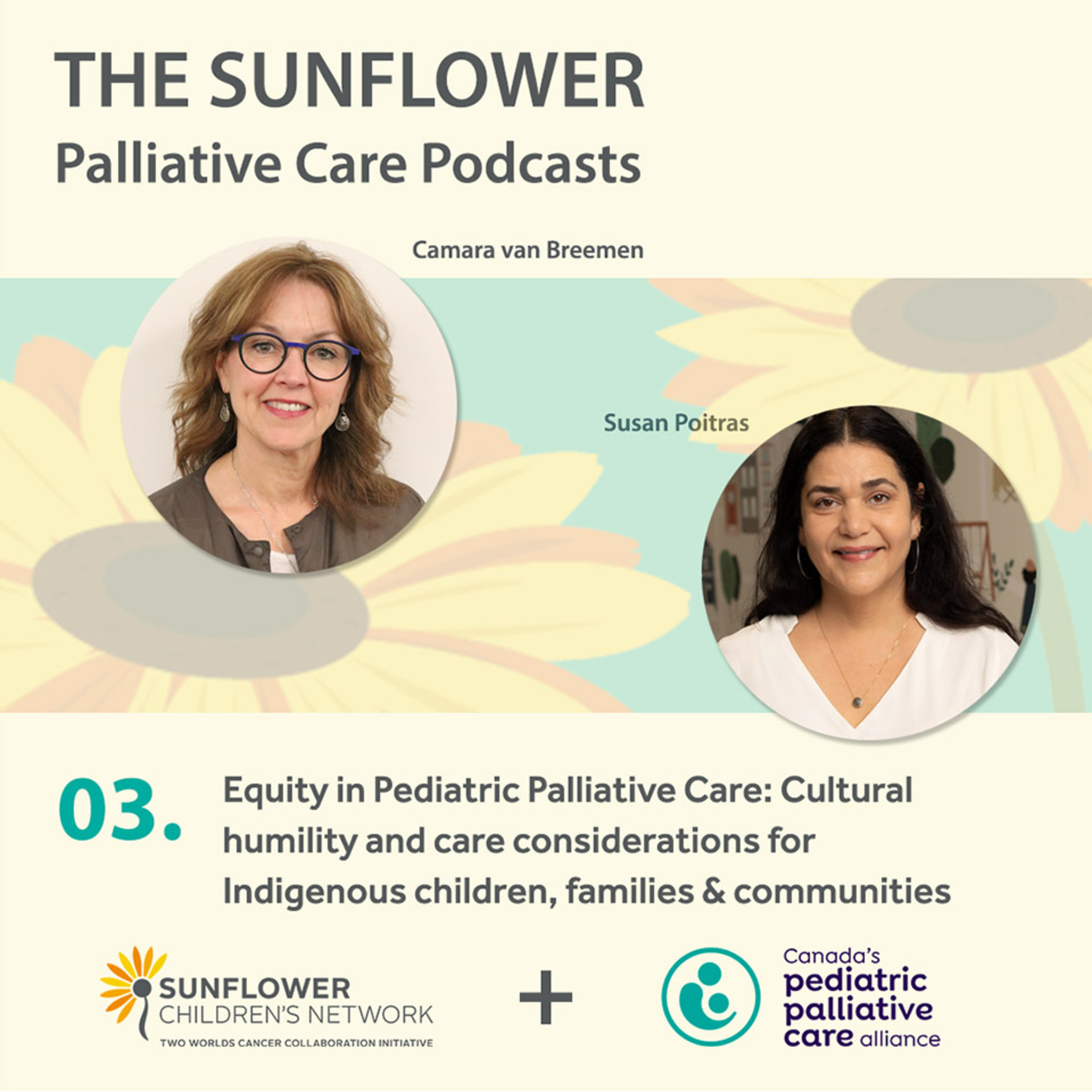 Part 3: Equity in Pediatric Palliative Care: Cultural humility and care considerations for Indigenous children, families and communities episode artwork
