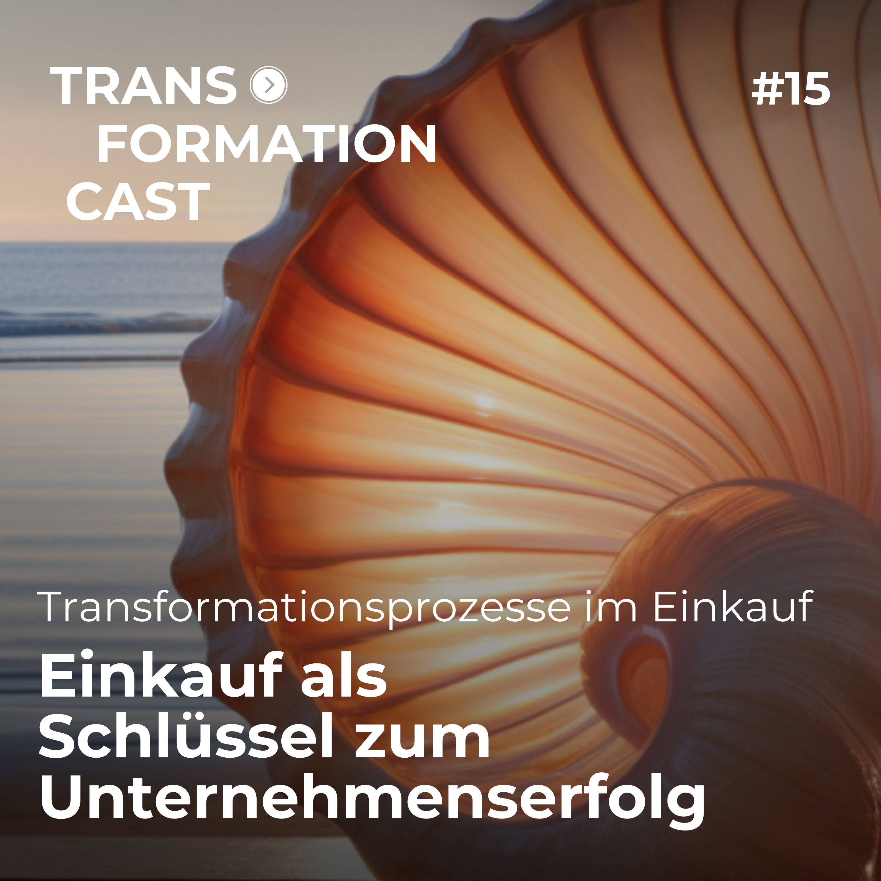 Transformation Cast - der Podcast der Coaching Gesellschaft