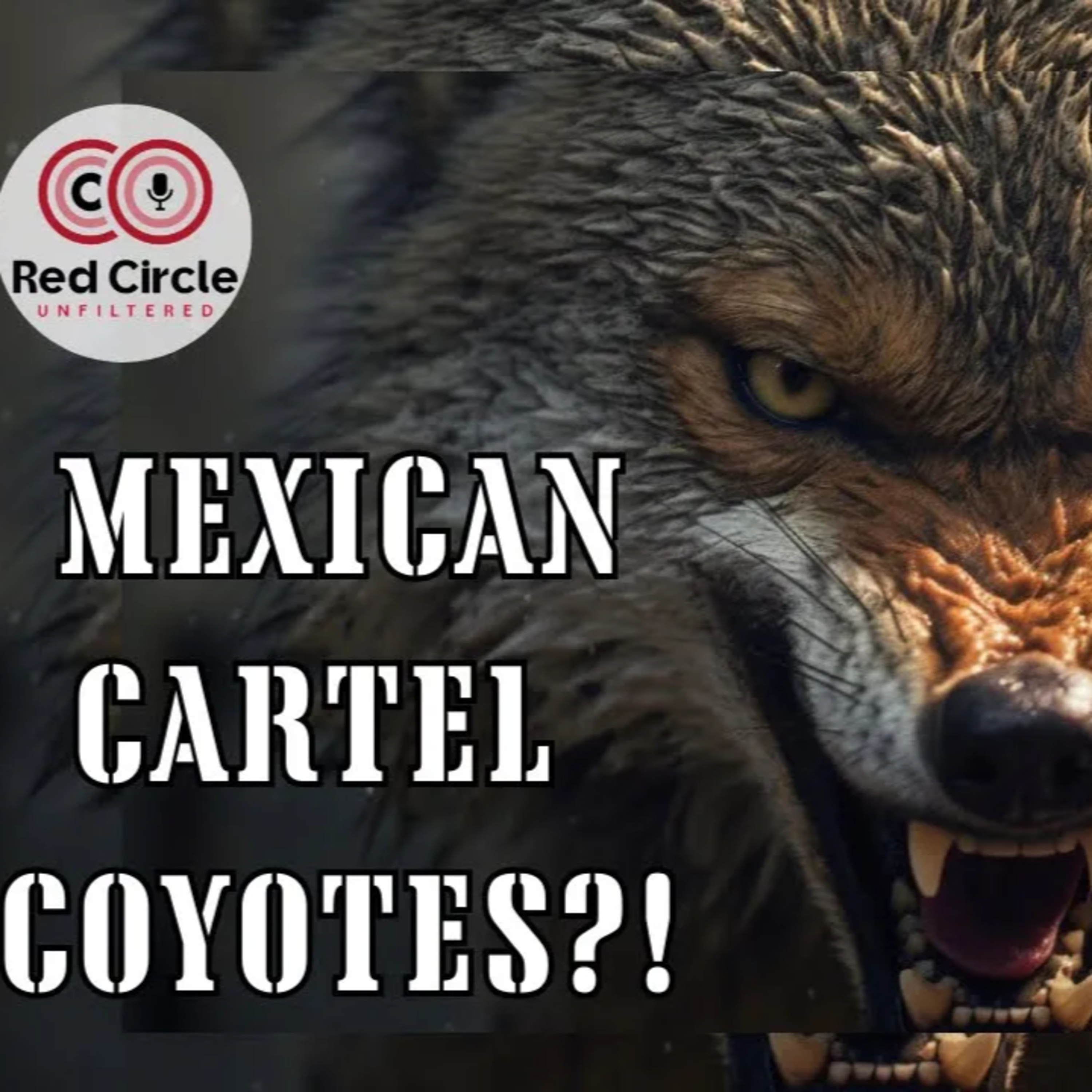 Mexican Coyotes: Current Events, Cartels, and Global Tensions | The Red Circle Podcast EP 49 episode artwork