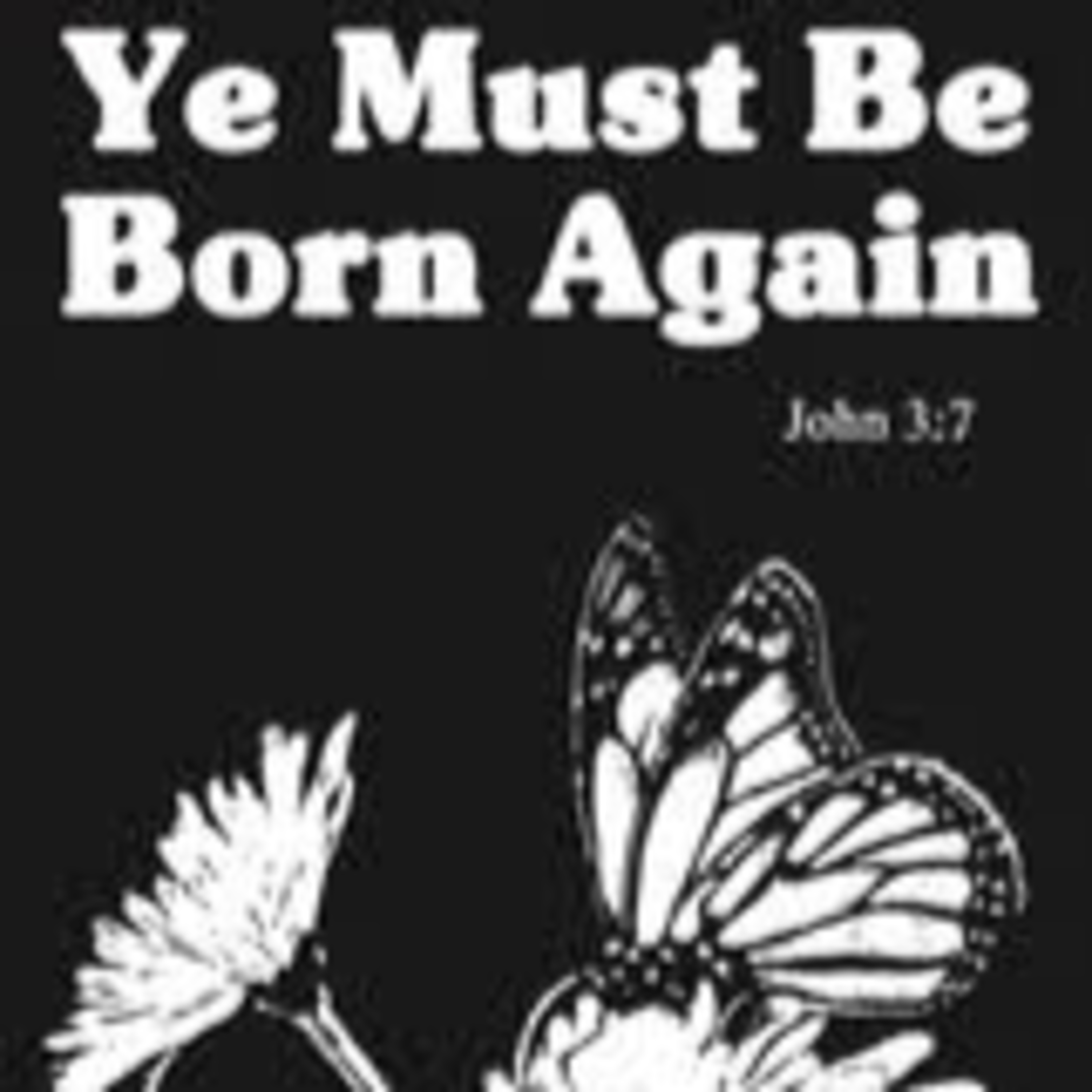 Our Savior Jesus Christ: 9. You must be Born Again! episode artwork