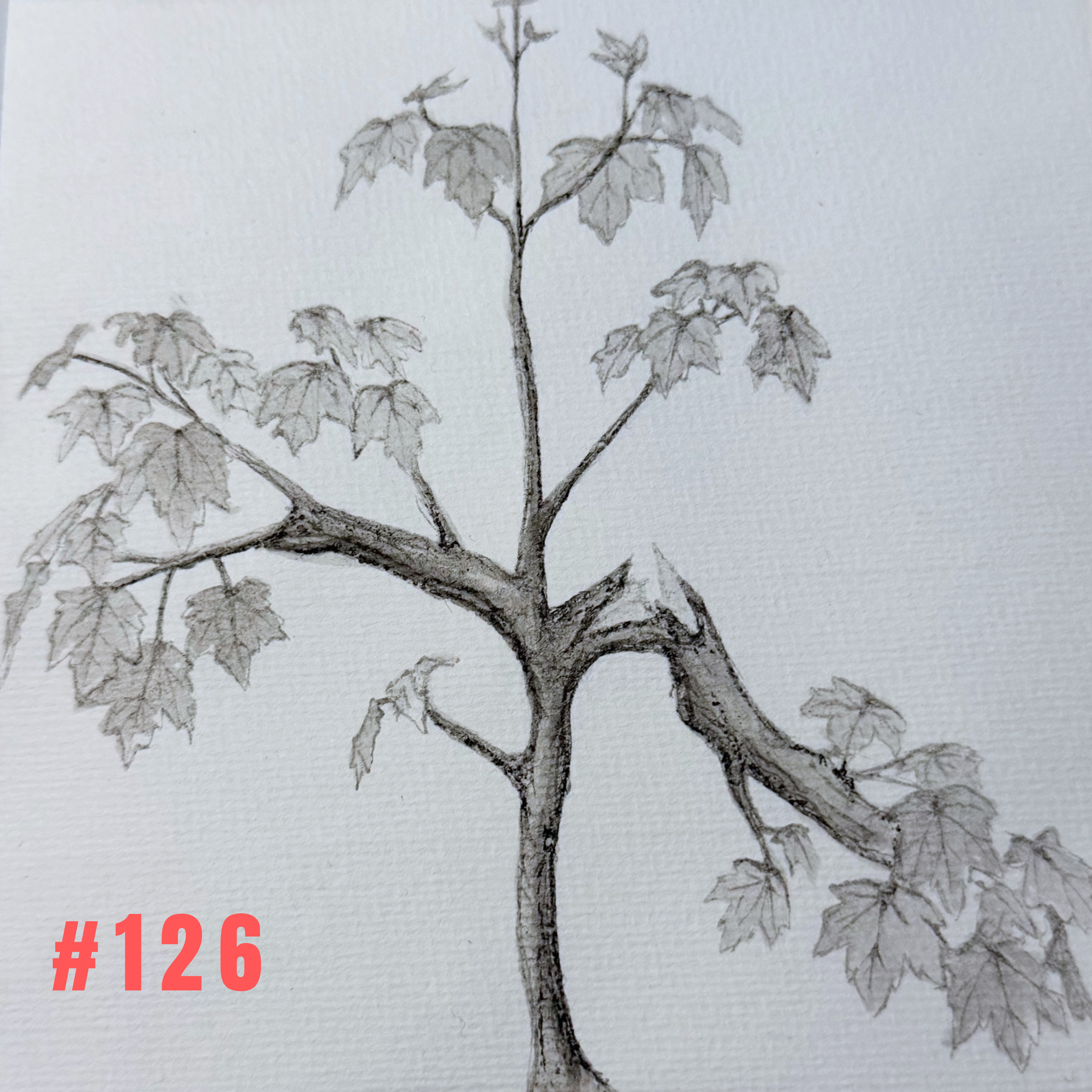 #126 Investierst du dein Leben in andere – und keiner sagt Danke? episode artwork