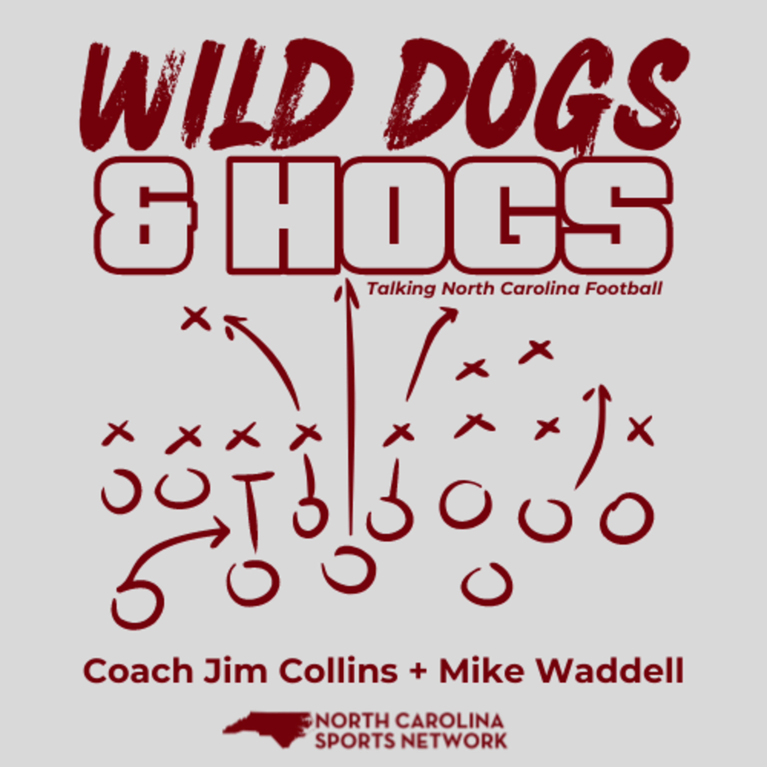WILD DOGS & HOGS || College Football Rivalry Week
