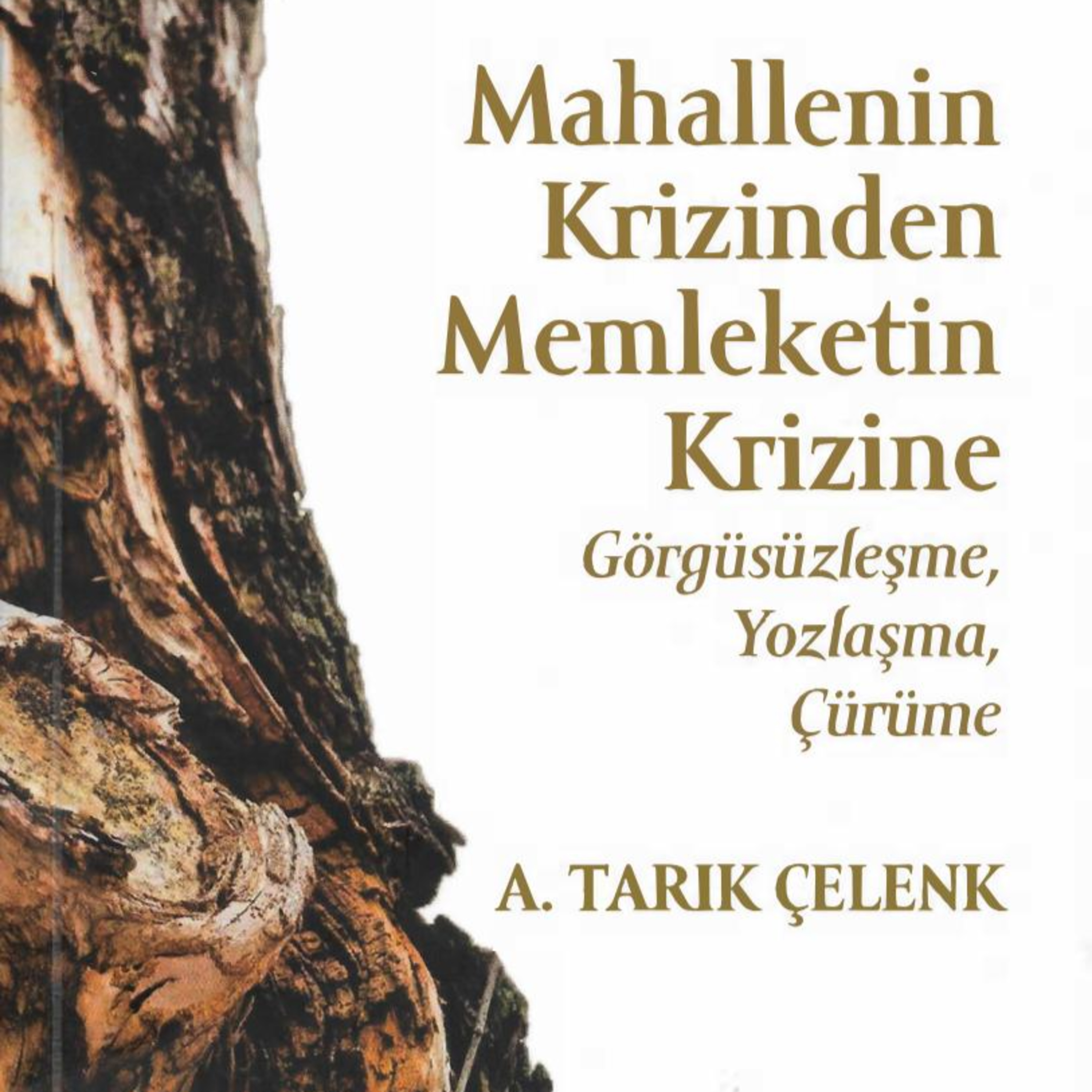 Öğrenmeyi Öğrenmek - Bilişsel Çarpıtma - Etik - Stoacı Yaşam