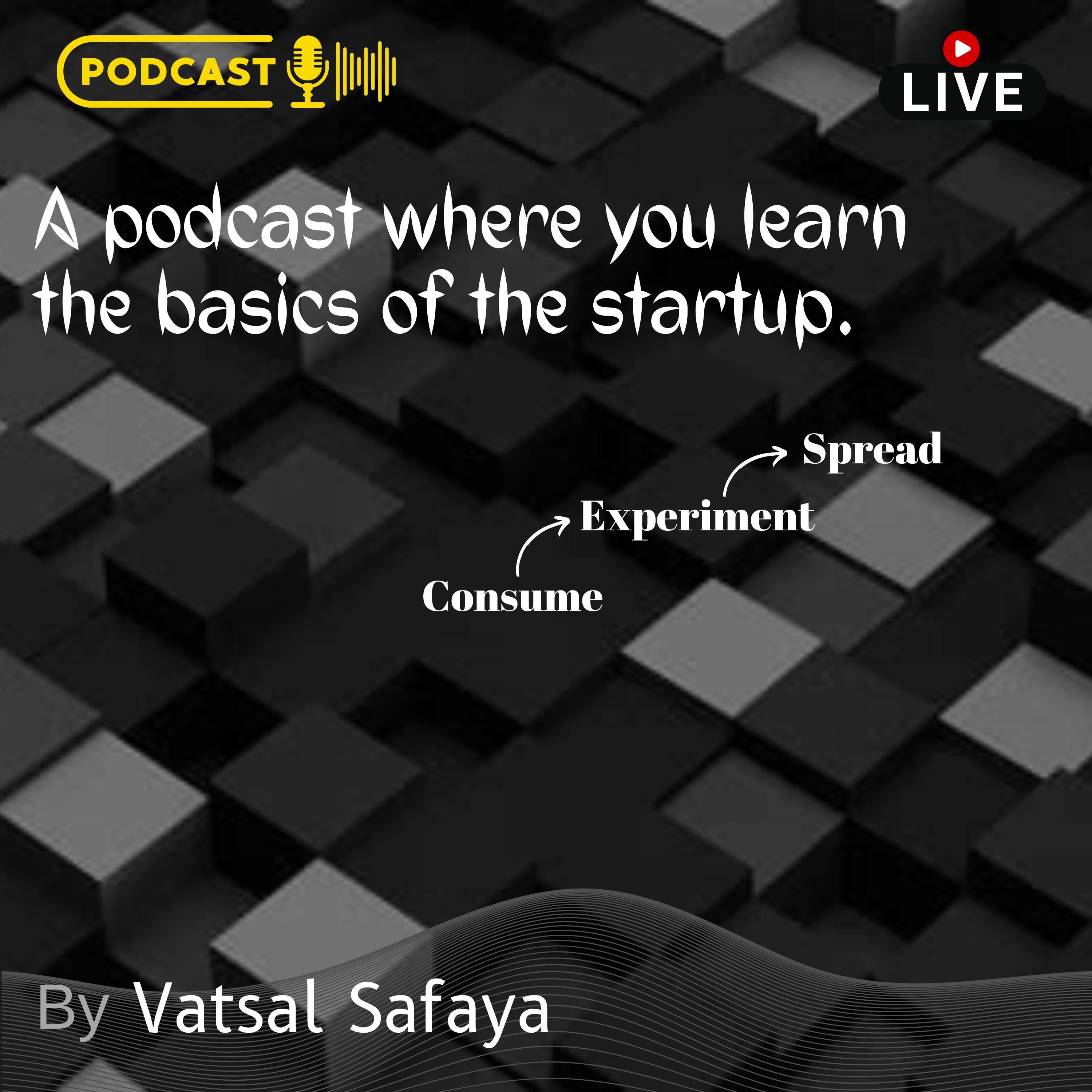 The Startup Story