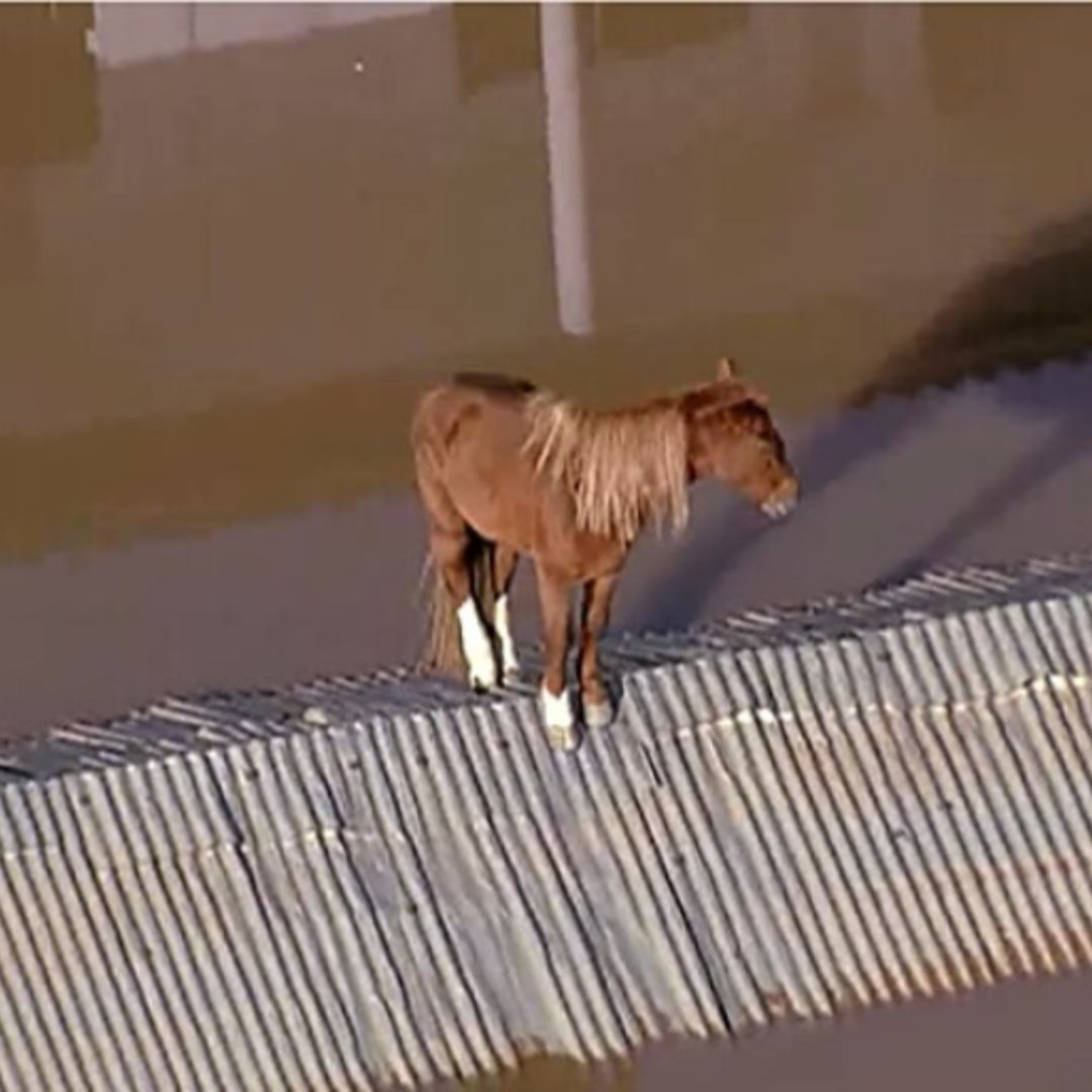 Coluna Atílio Bari