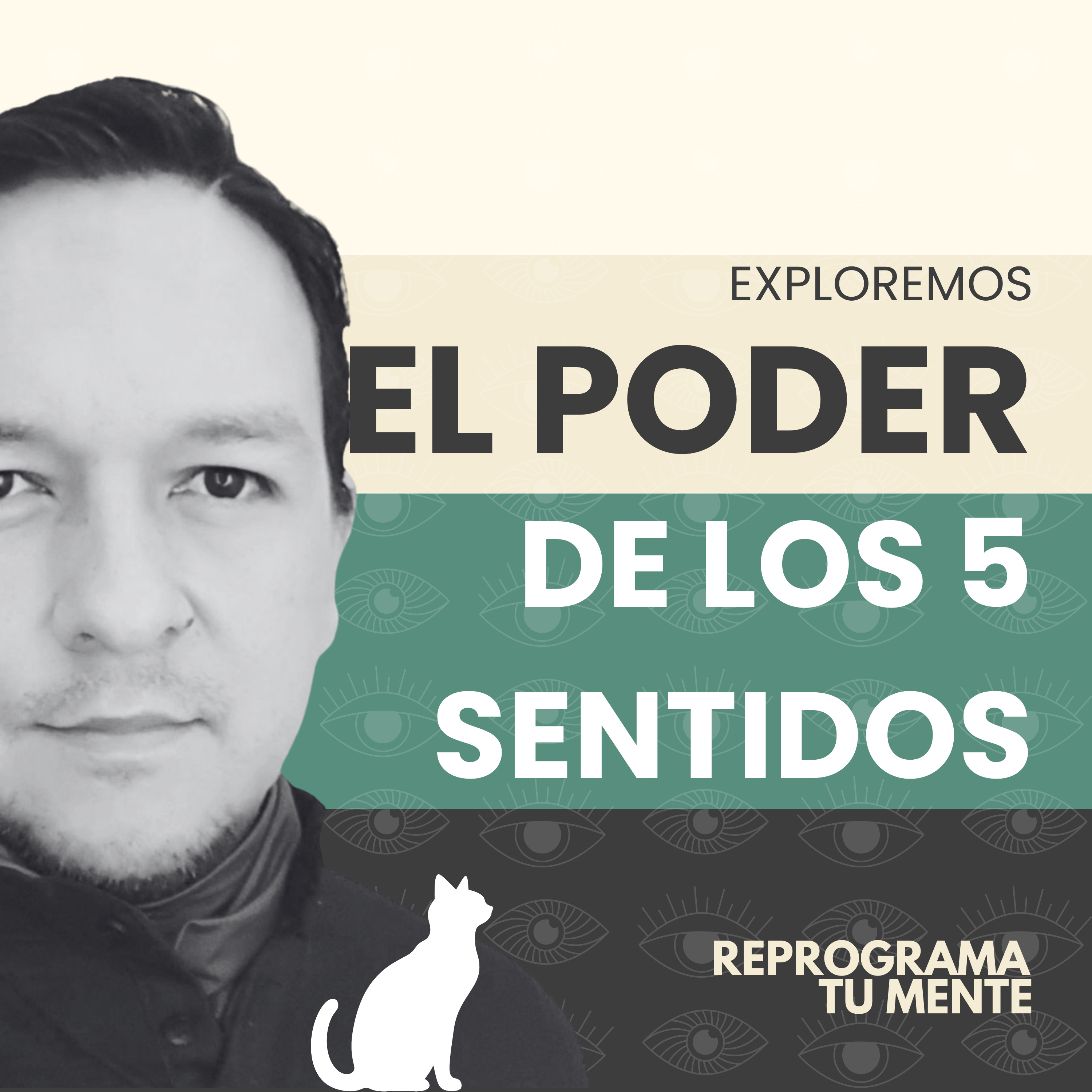 ❄️🖐️👂101- El poder de las sentidos