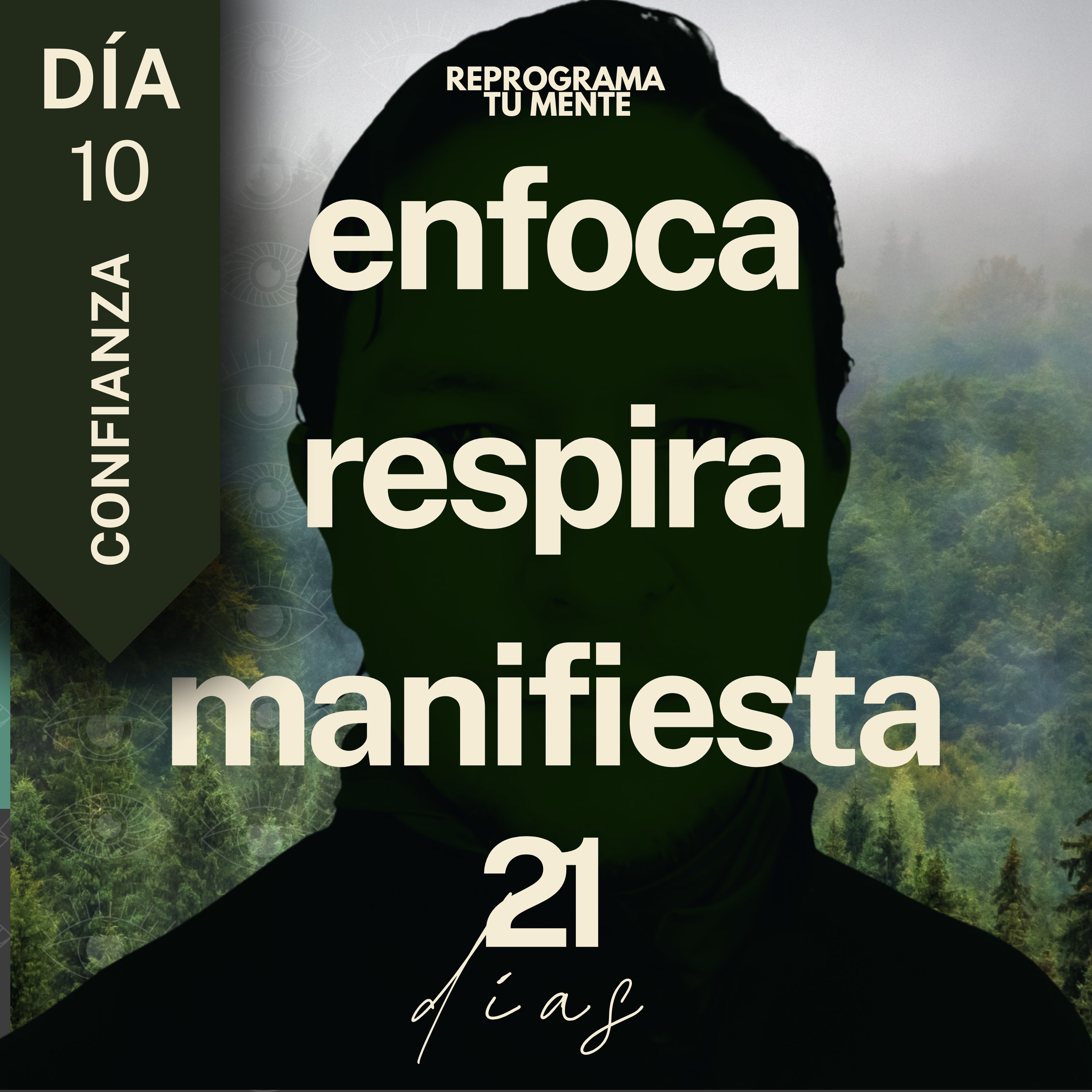 🌻👁️131 - Día 10 "Confianza en tus decisiones" - (21 días de meditación)