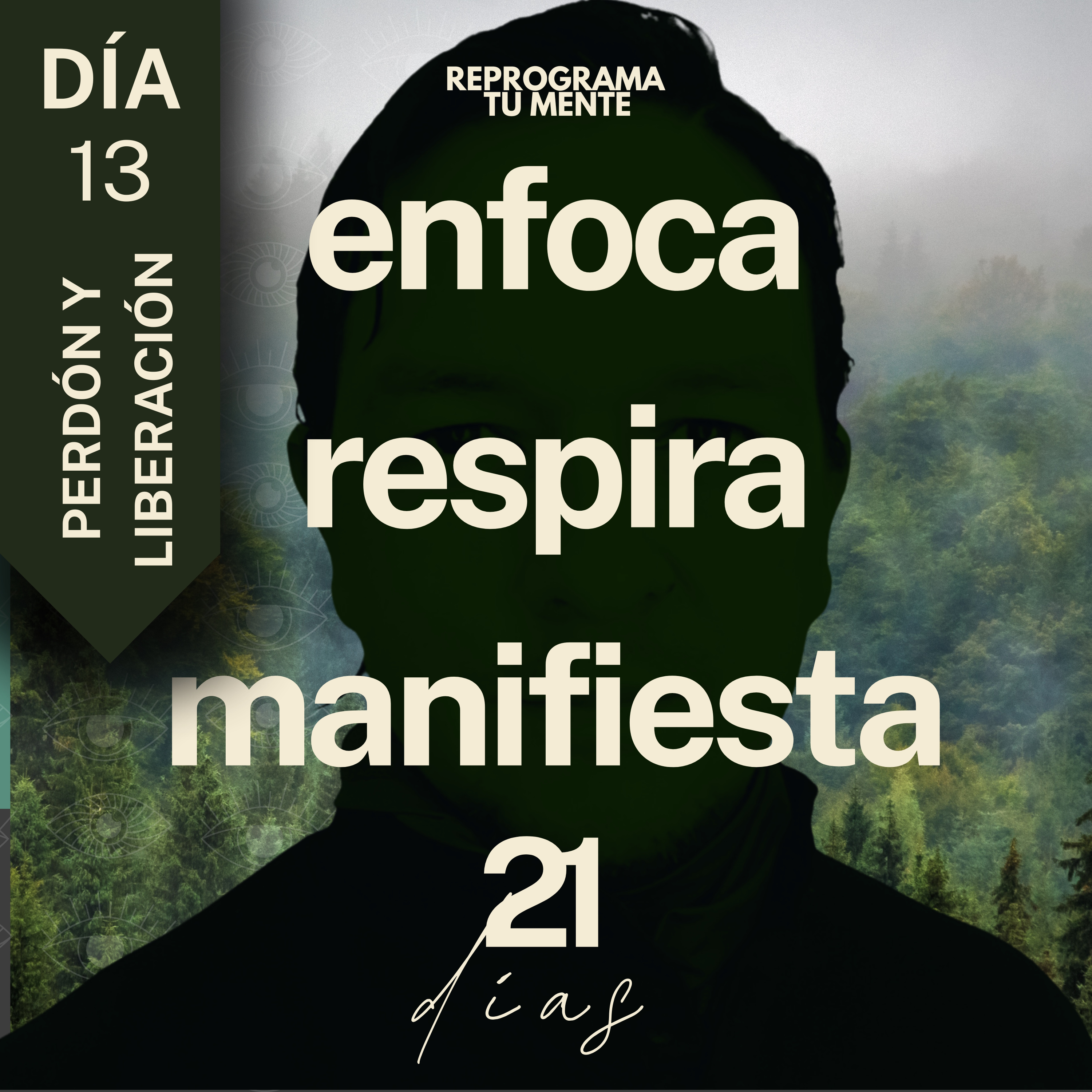 🌻👁️134 - Día 13 "Perdón y liberación" - (21 días de meditación)