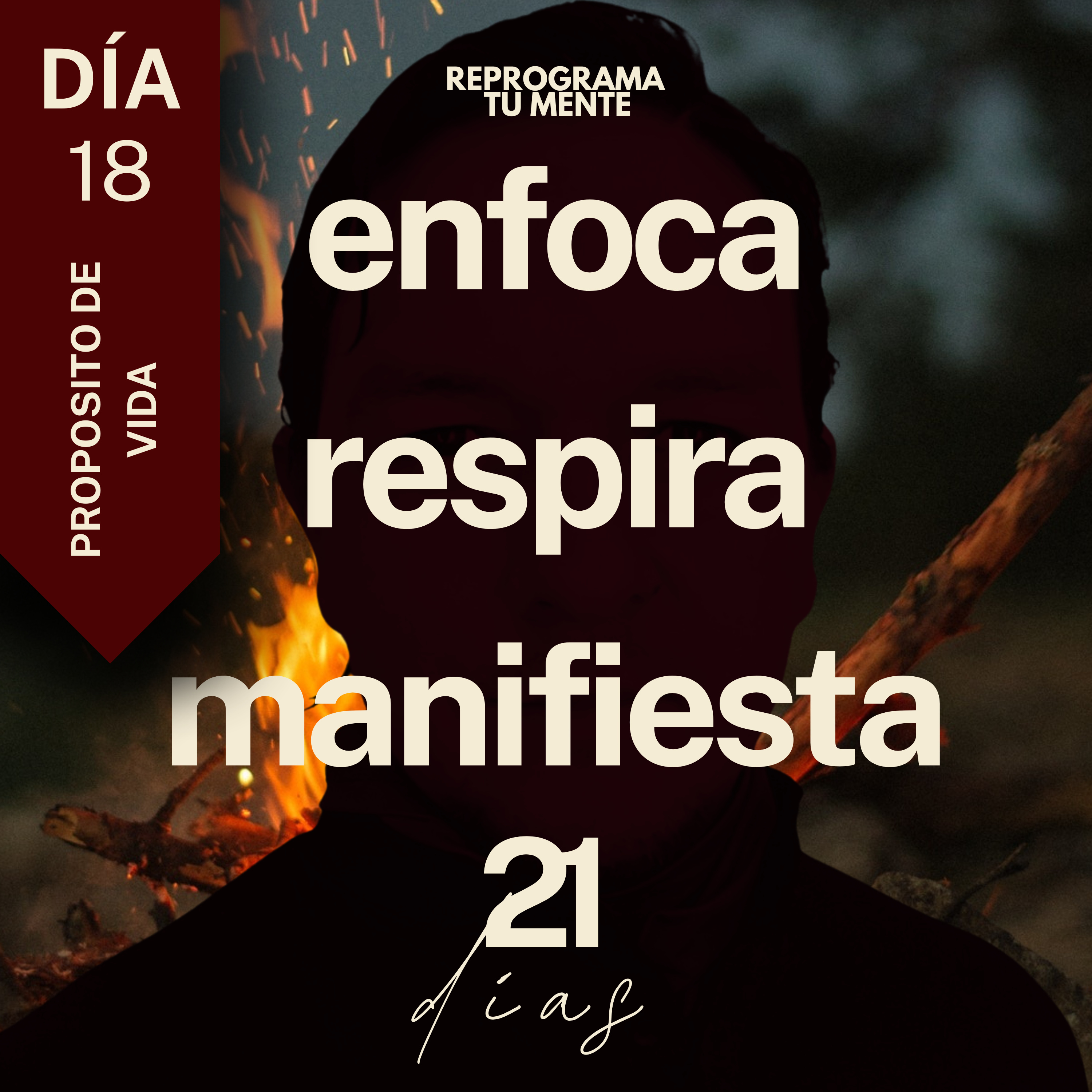 🌻👁️139 - Día 18 "Proposito de vida" - (21 días de meditación)