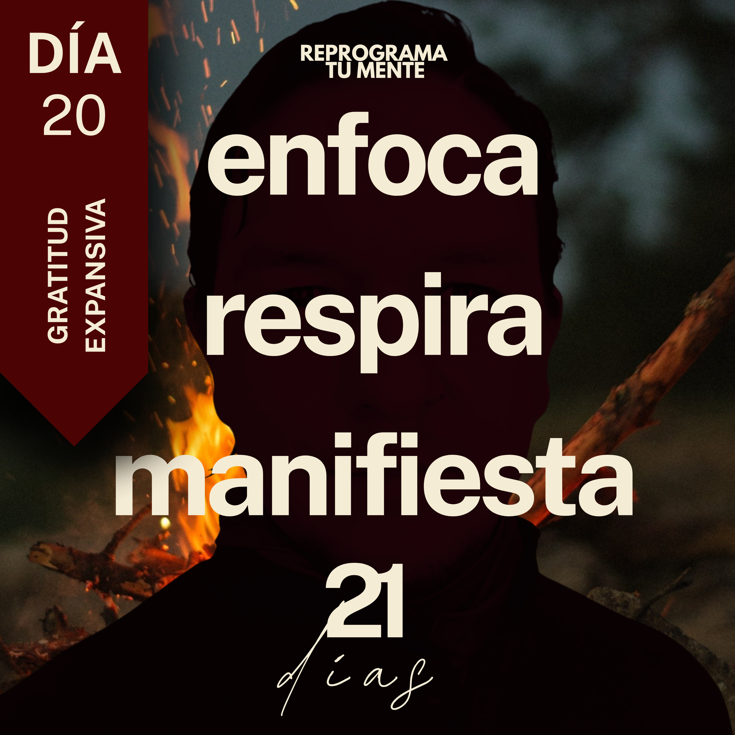 🌻👁️141 - Día 20 "Gratitud expansiva" - (21 días de meditación)