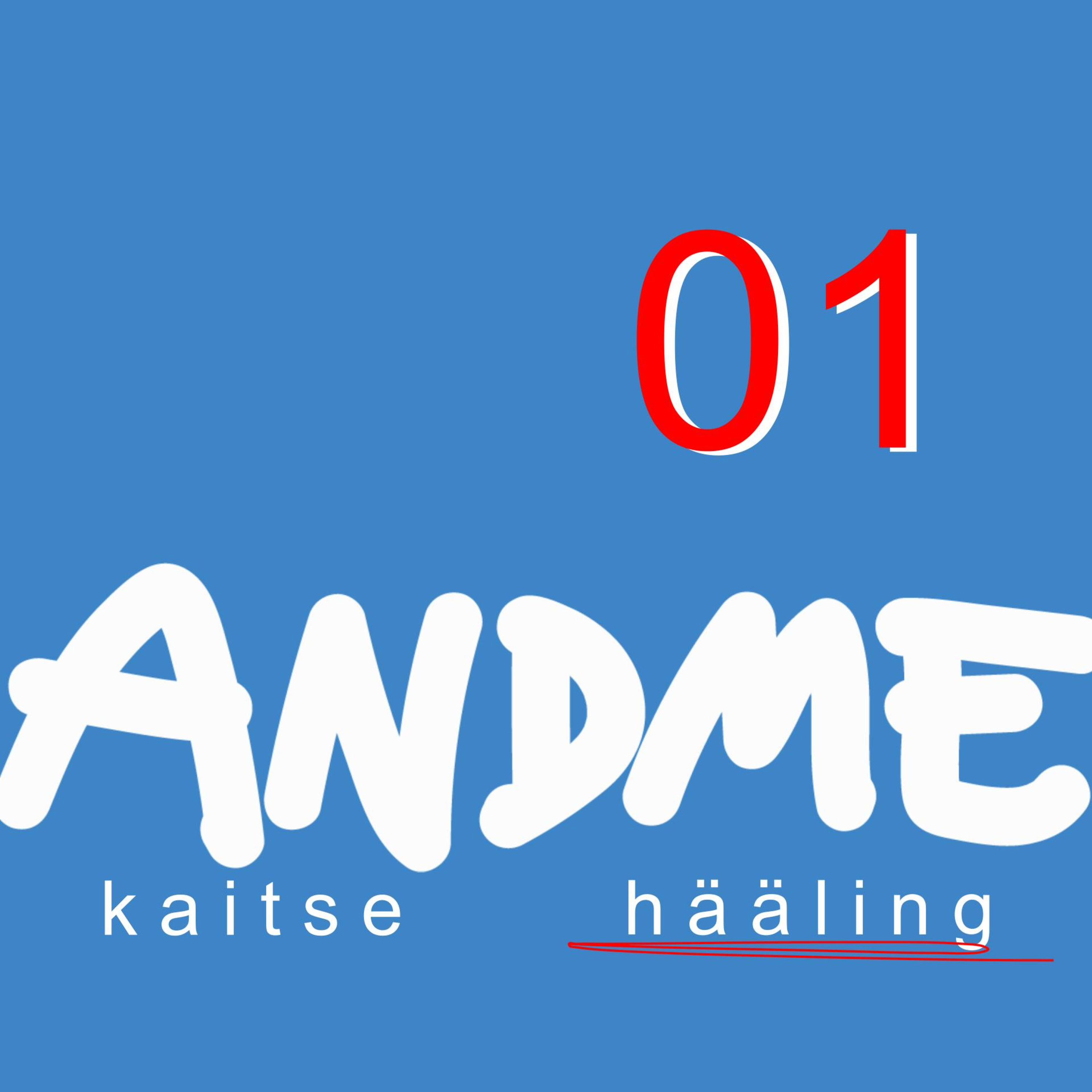 #01 - IKÜM-i konverentsist ja isikuandmete kaitse üldmäärusest