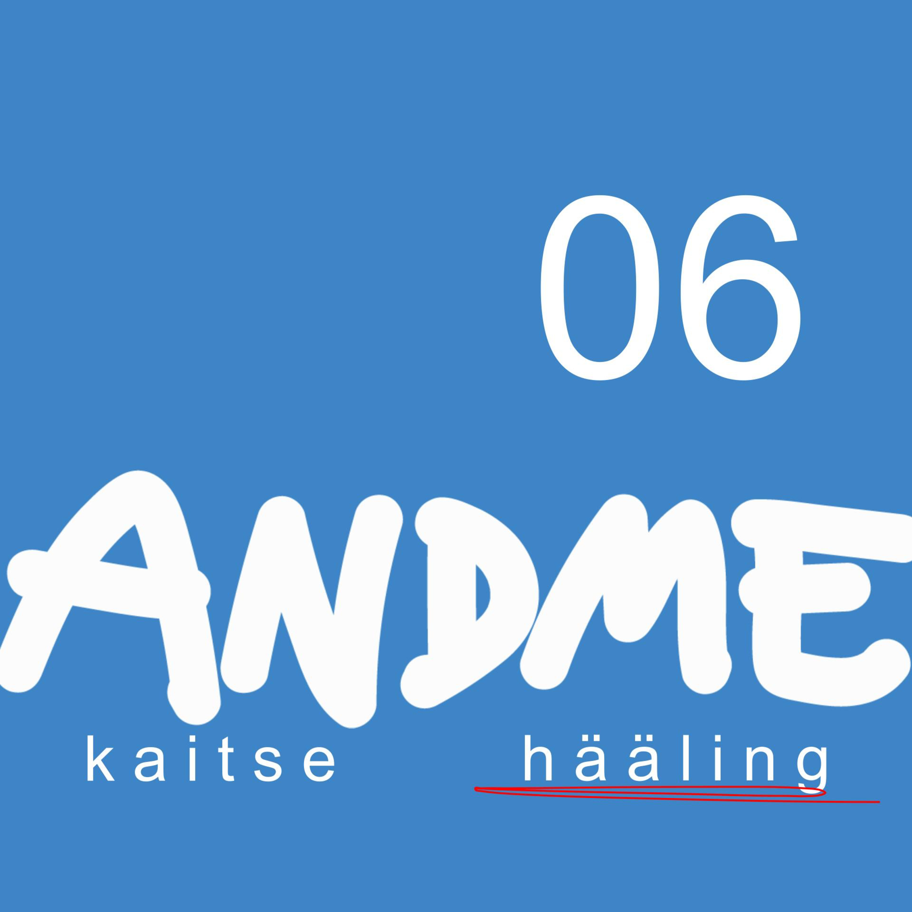 #06 - Veebipolitsei