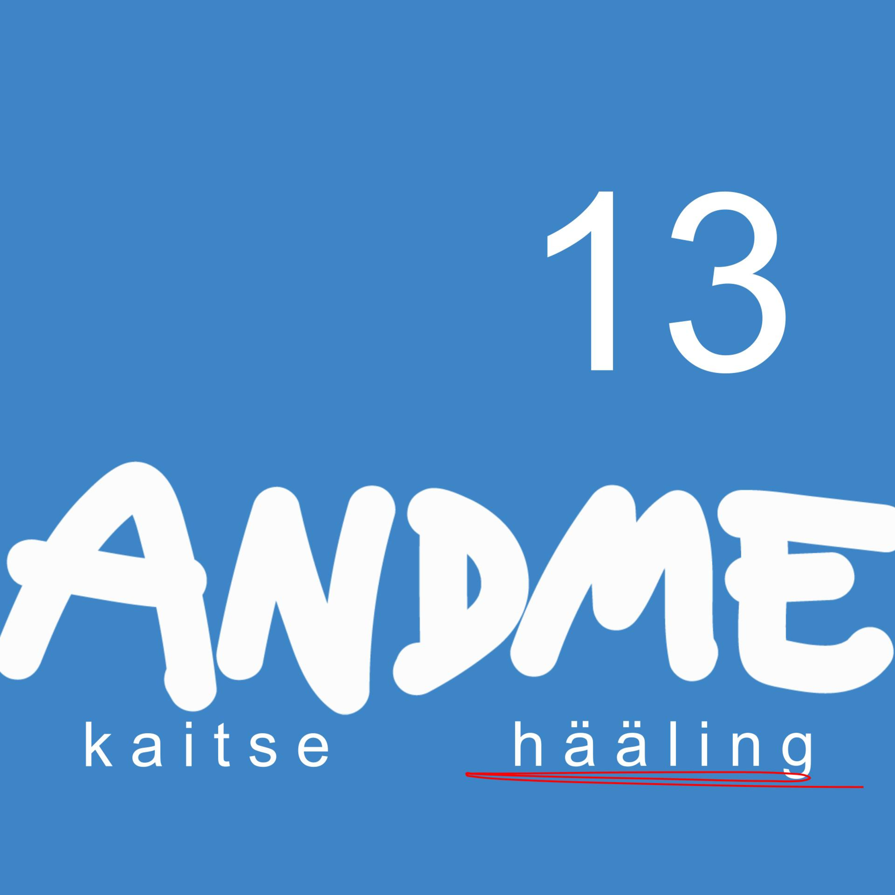 #13 - Infoturve ja sellega kaasas käivad eksimused ning tähelepanekud