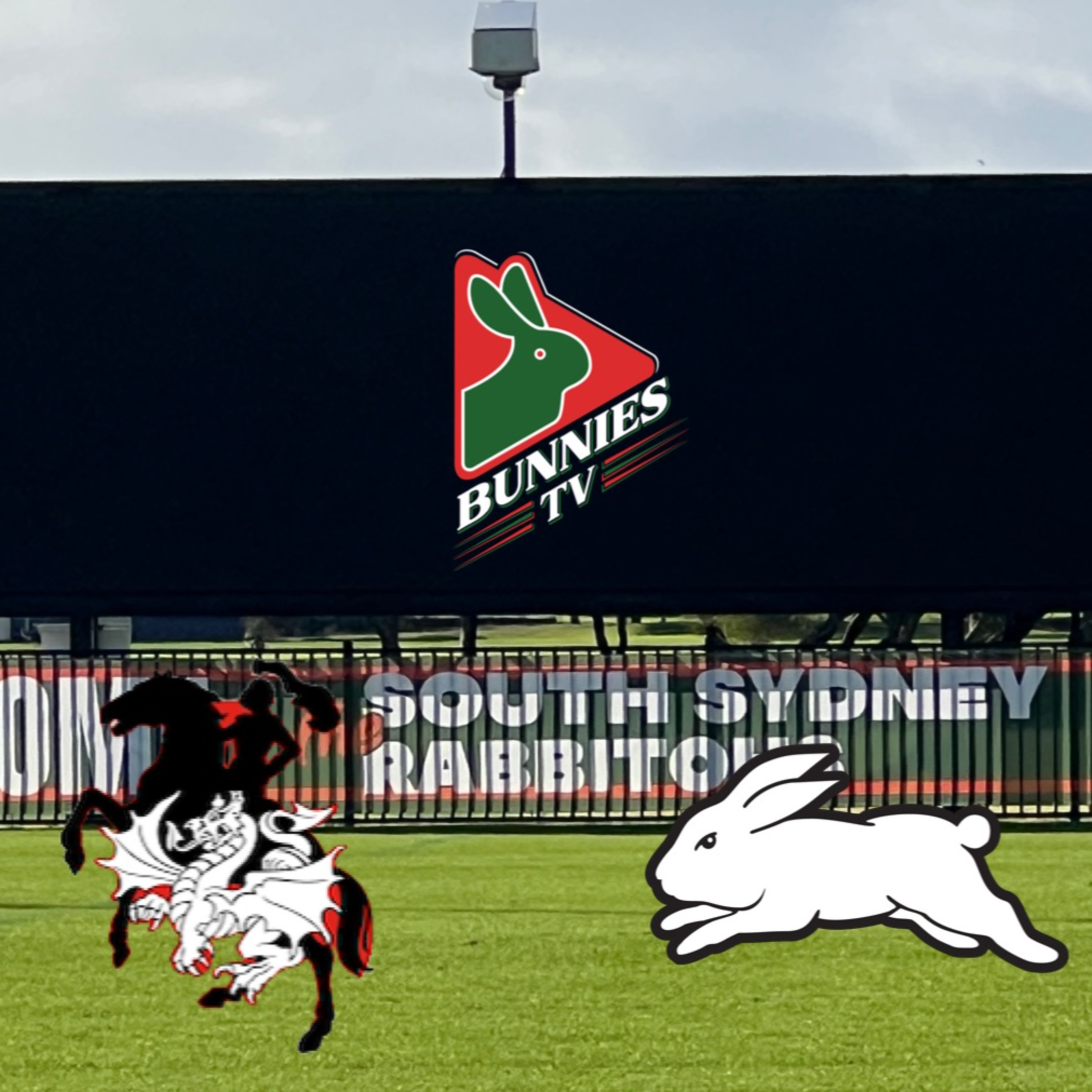 On The Field With The Rabbitohs