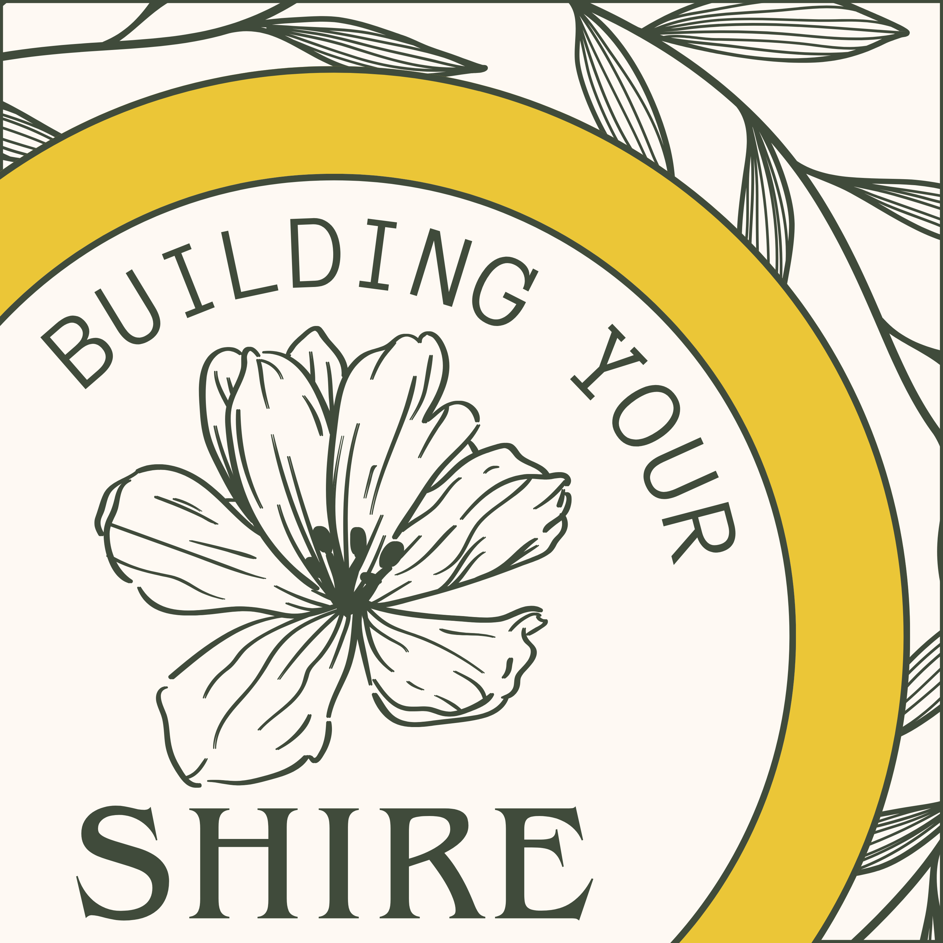 Building Your Shire