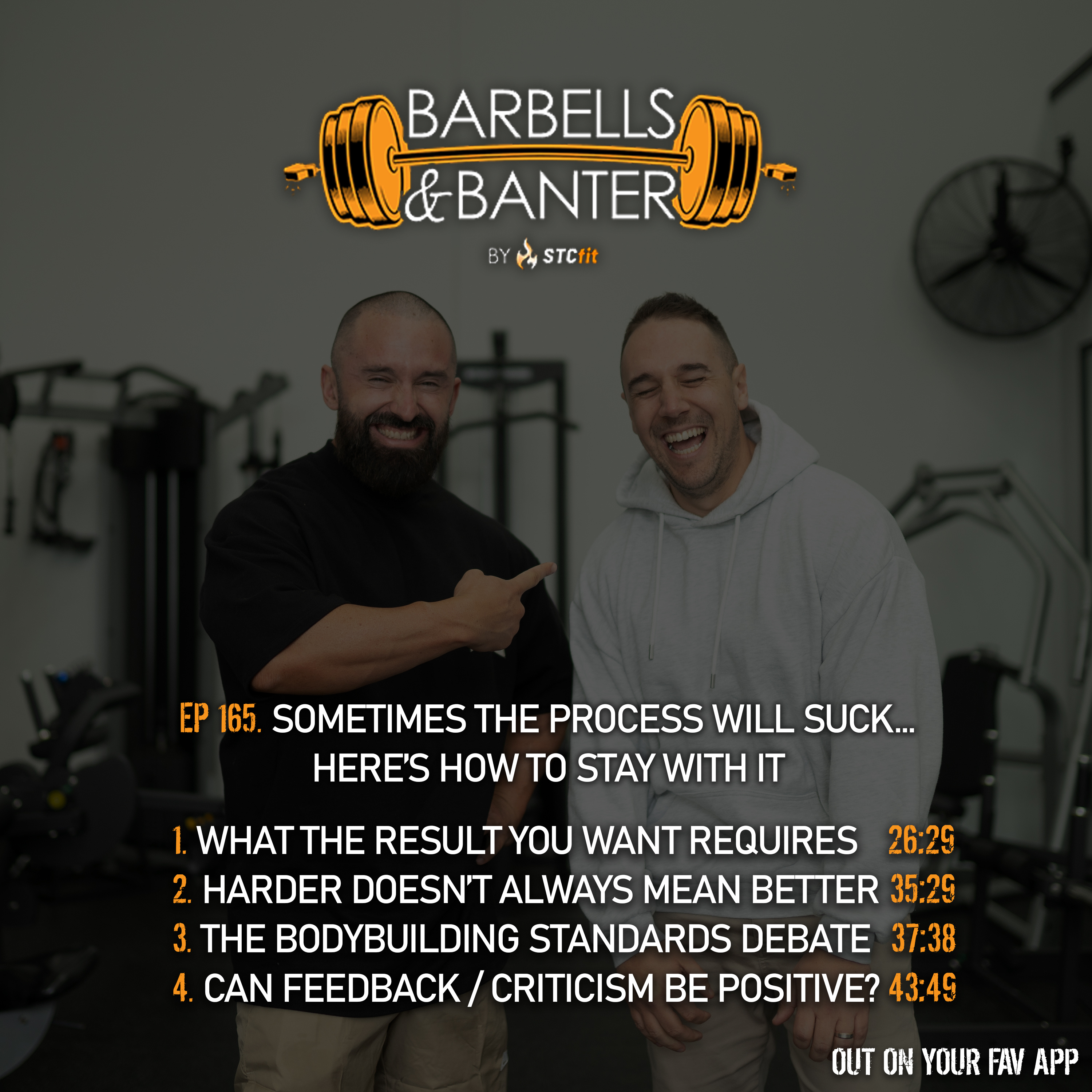 Ep 165 - Sometimes the process will suck... Here's how to stay with it episode artwork