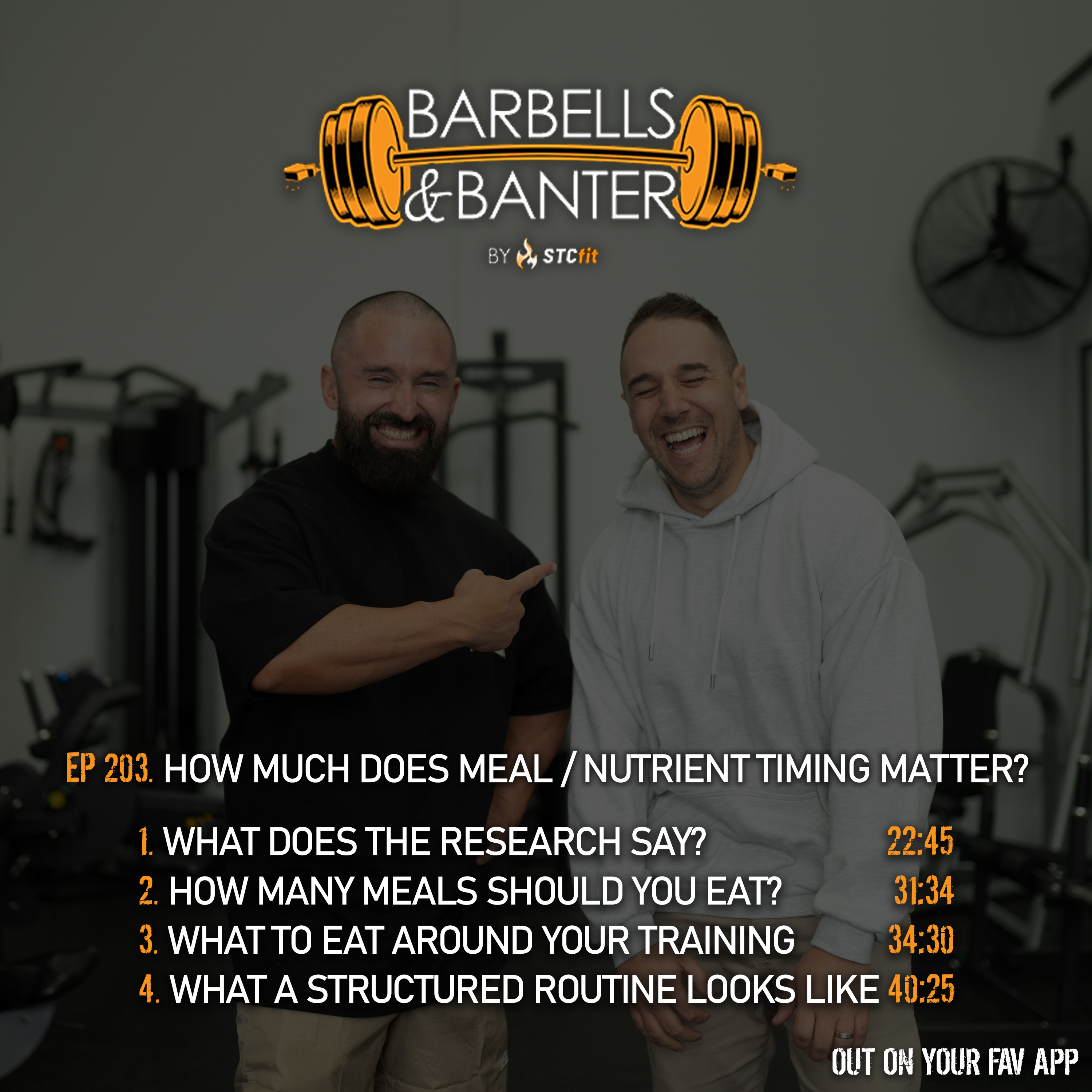 Ep 203 - How much does meal / nutrient timing matter? episode artwork