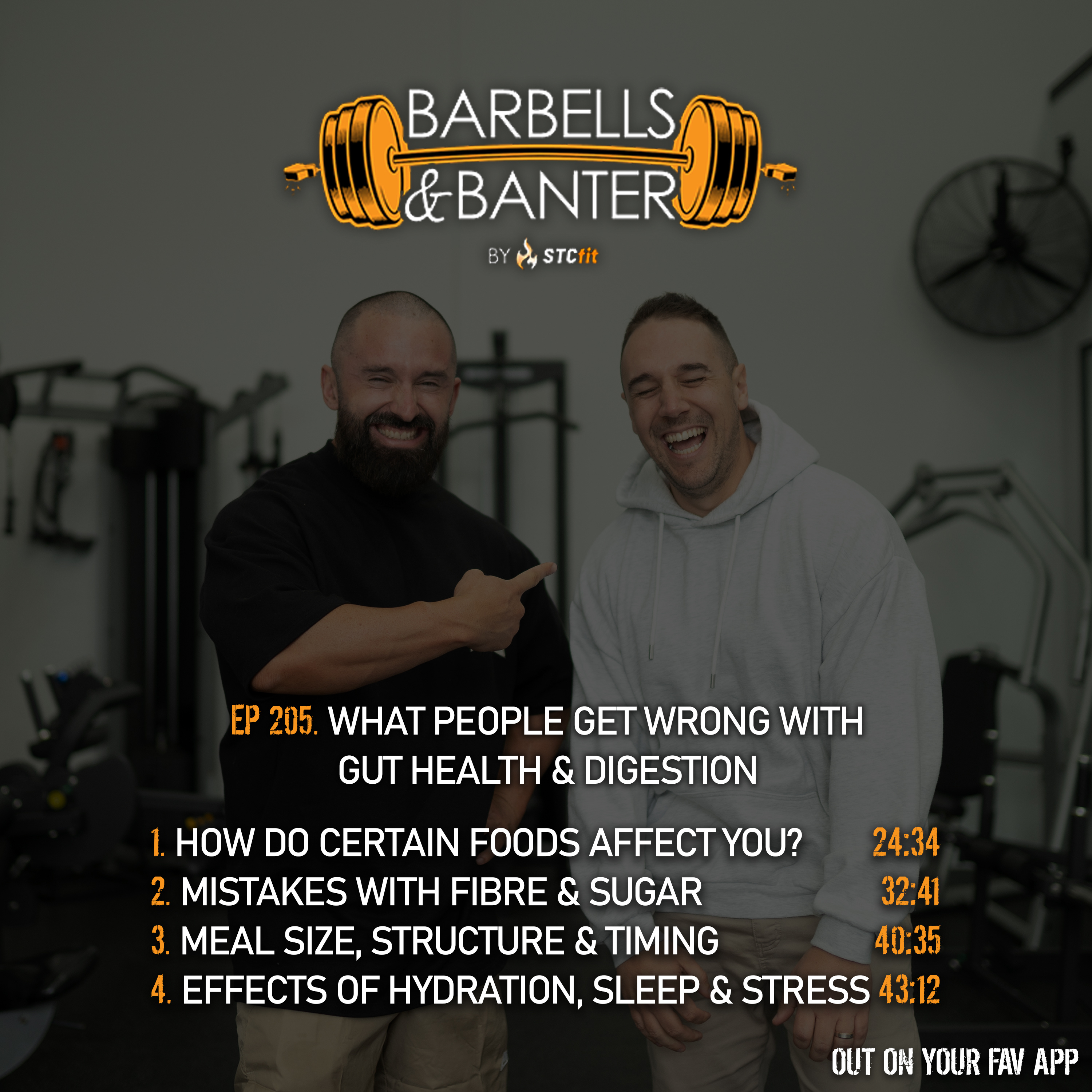 Ep 205 - What people get wrong with gut health & digestion episode artwork