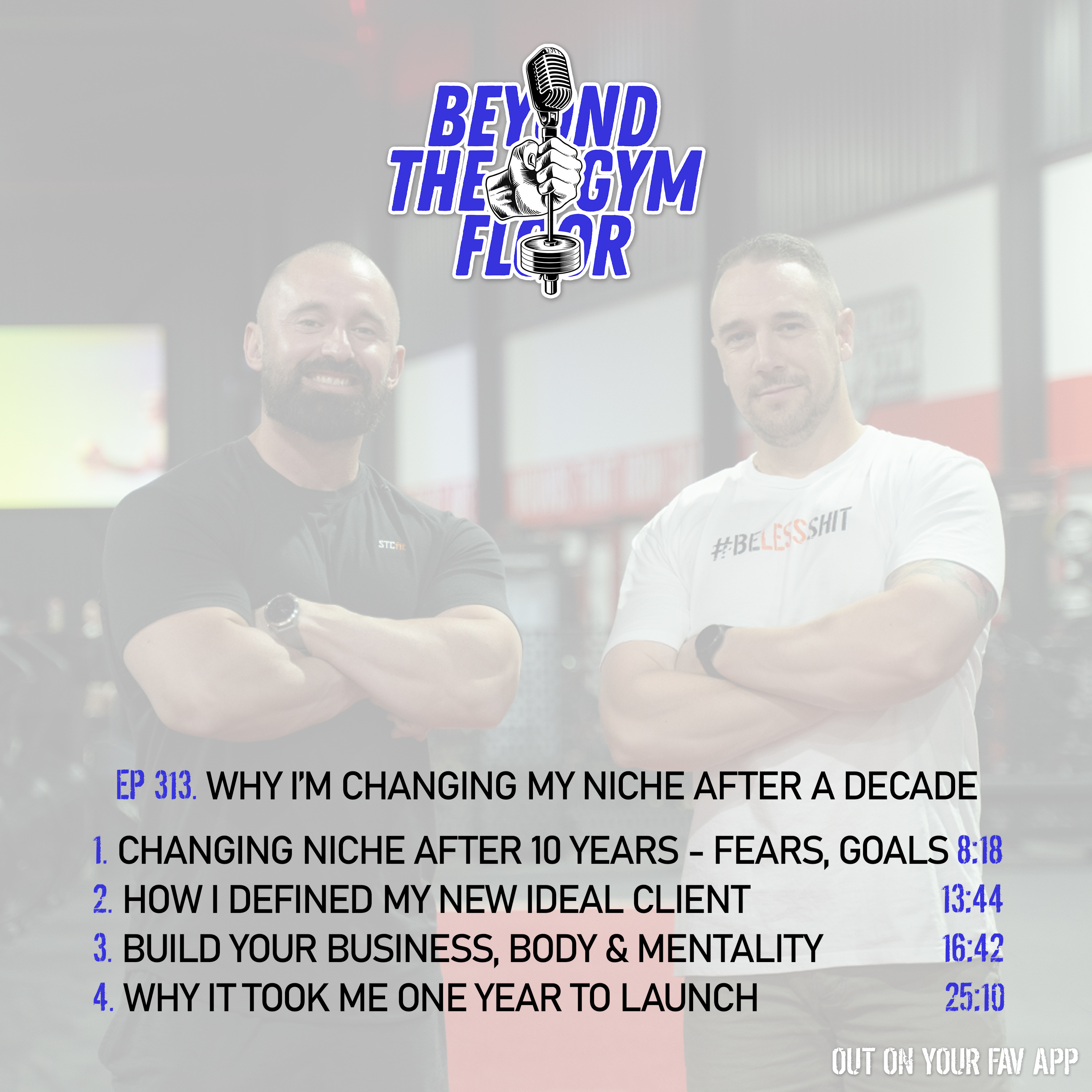 Ep 313 - Why I'm changing my niche after a decade