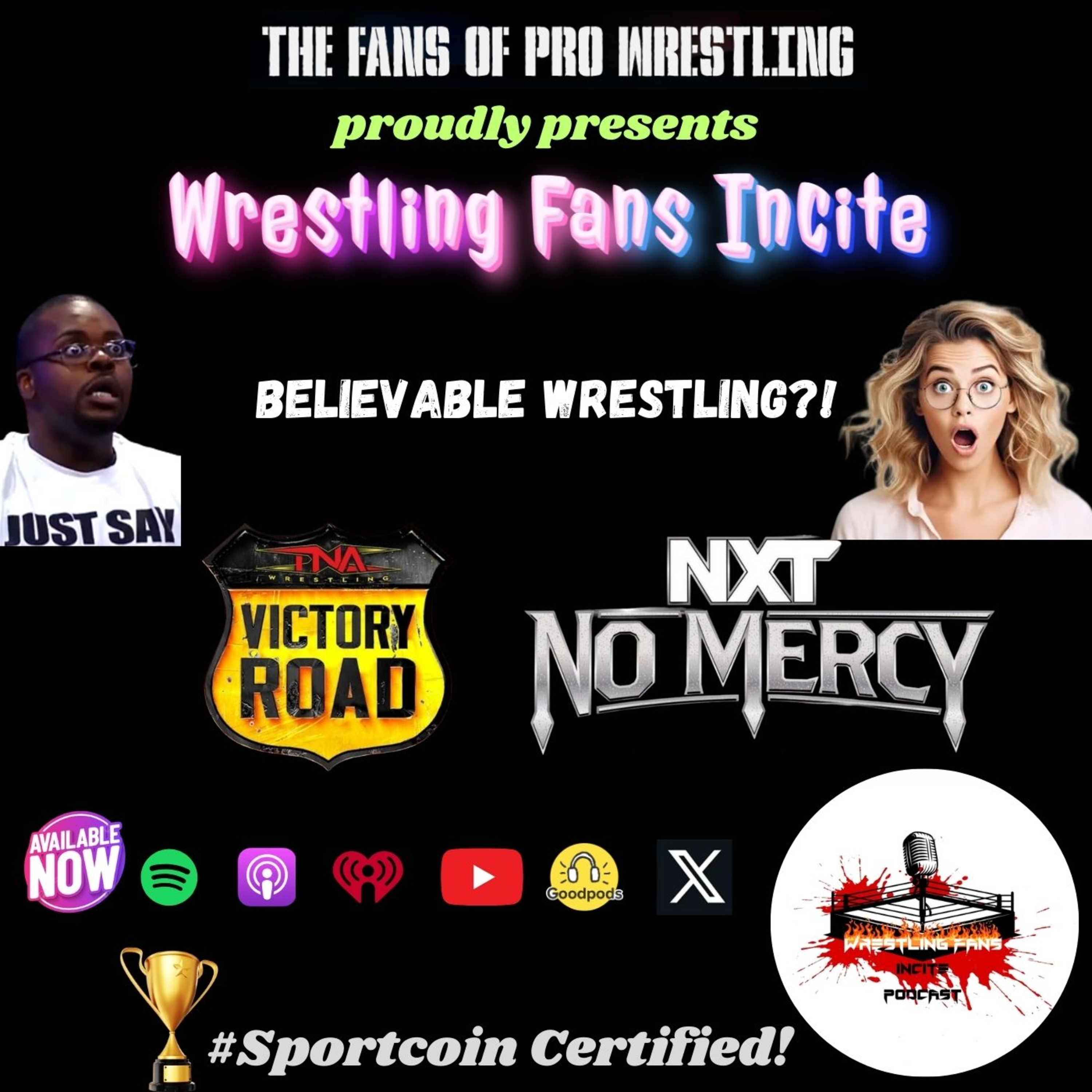 Believable Wrestling?! episode artwork