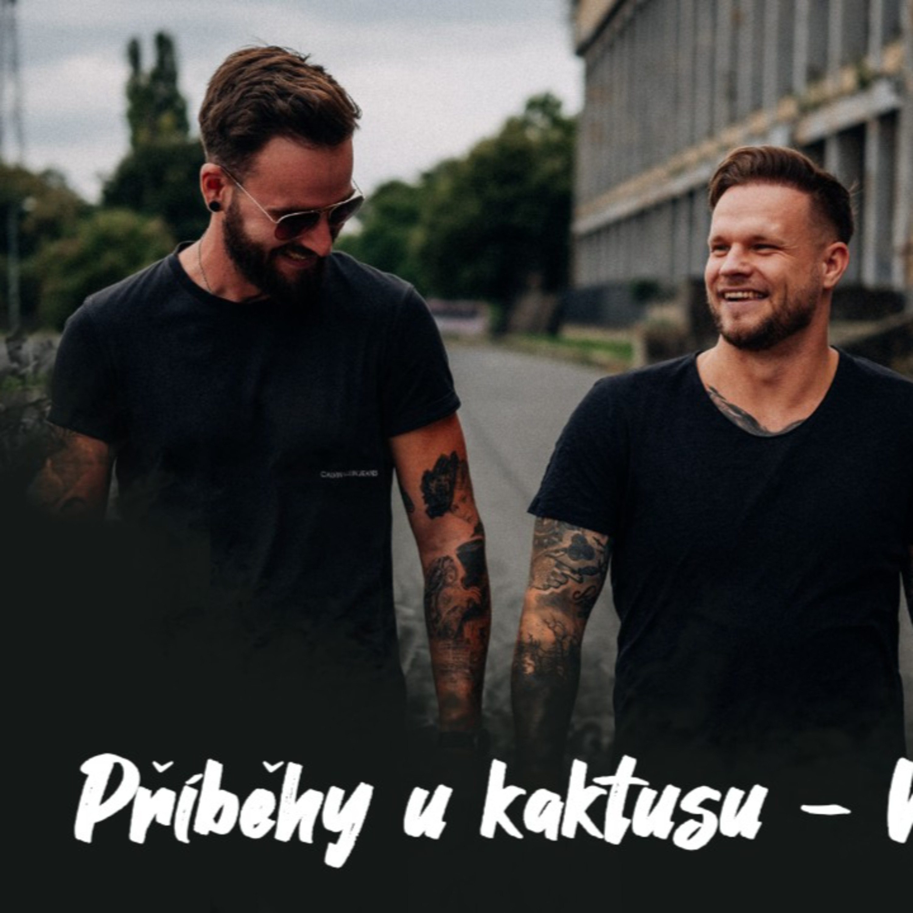 #1 Příběhy u kaktusu - Veletrh | Dlouhý Široký episode artwork