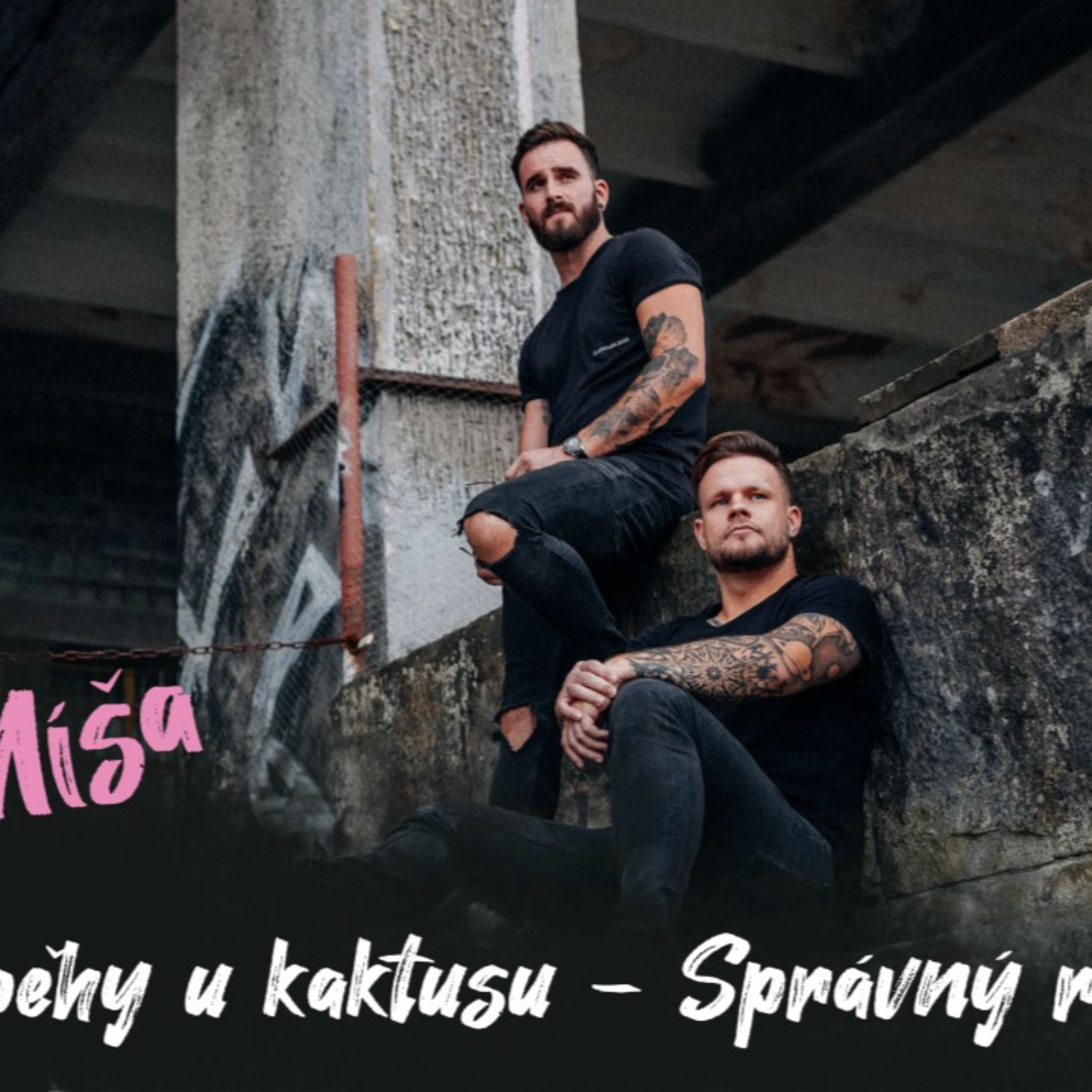 #2 Příběhy u kaktusu - Správný rytíř | Dlouhý Široký episode artwork