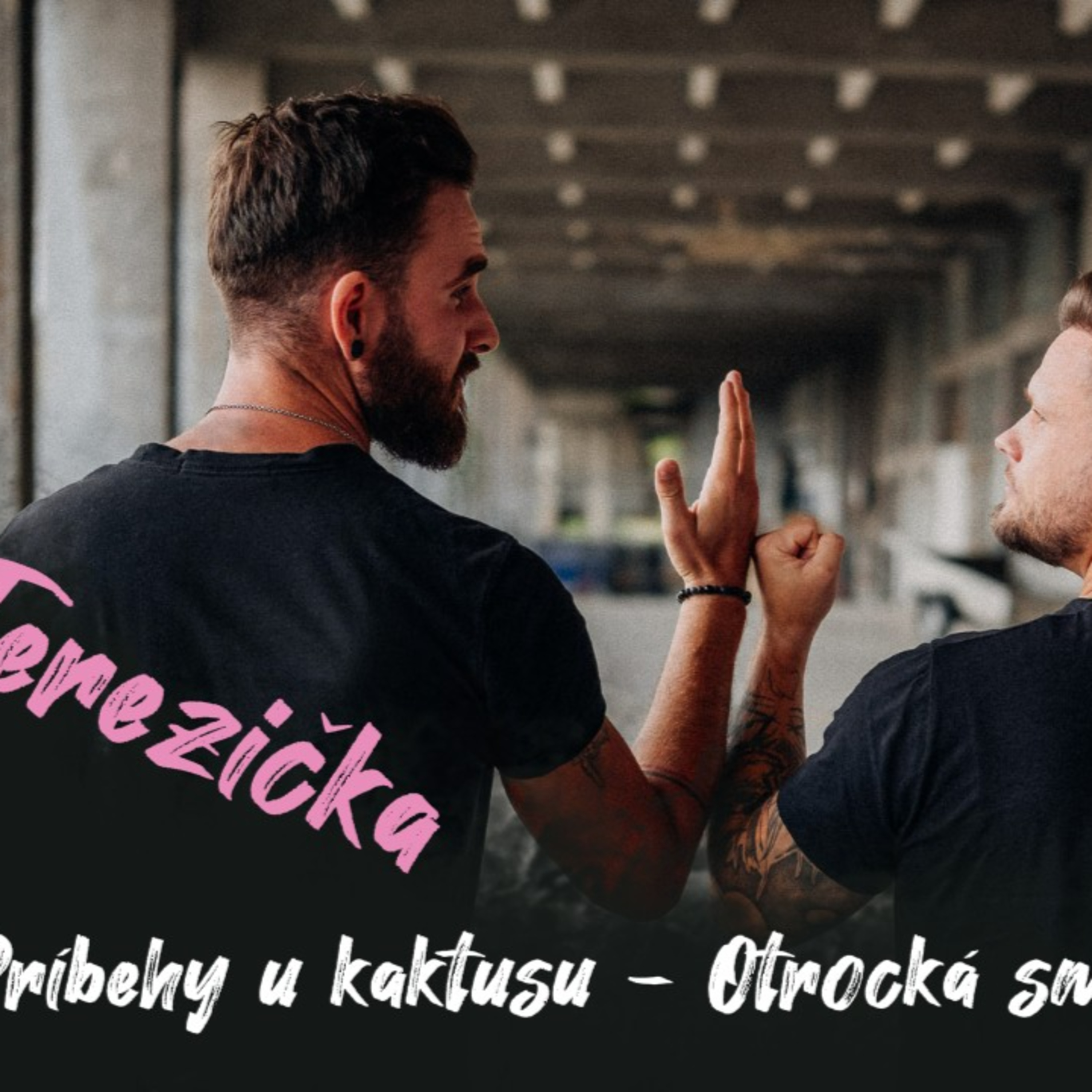 #3 Příběhy u kaktusu - Otrocká smlouva | Dlouhý Široký episode artwork
