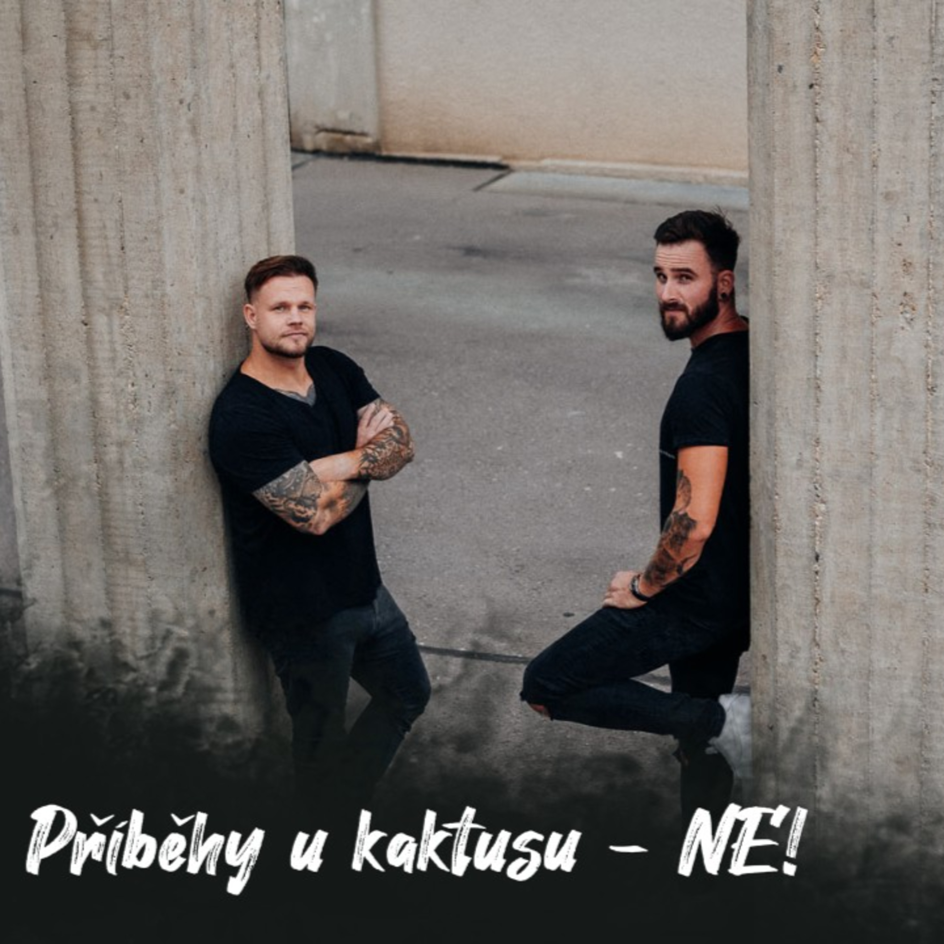 #5 Příběhy u kaktusu - NE! | Dlouhý Široký episode artwork