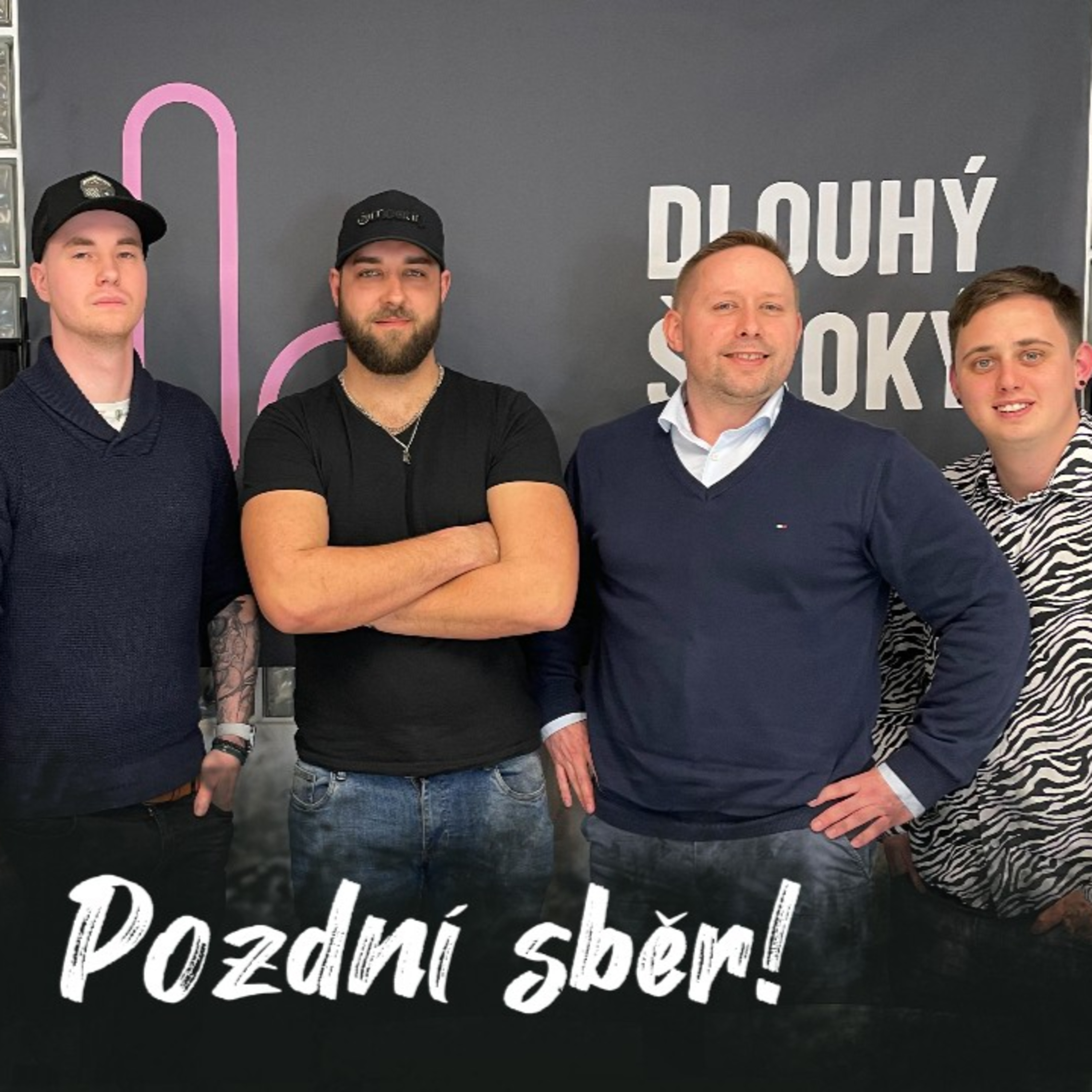 Pozdní sběr | Dlouhý Široký #9 episode artwork
