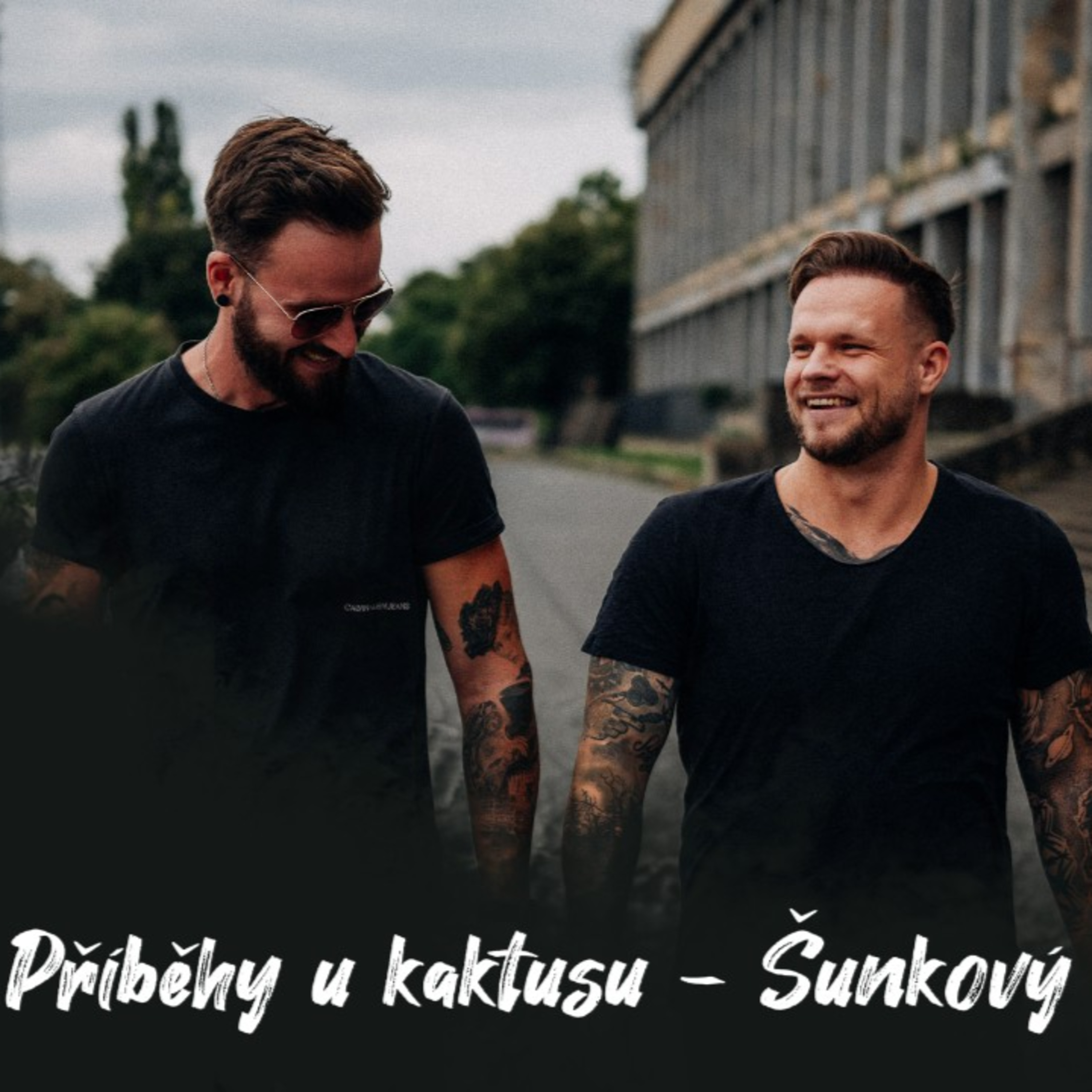 #6 Příběhy u kaktusu - Šunkový závěs | Dlouhý Široký episode artwork