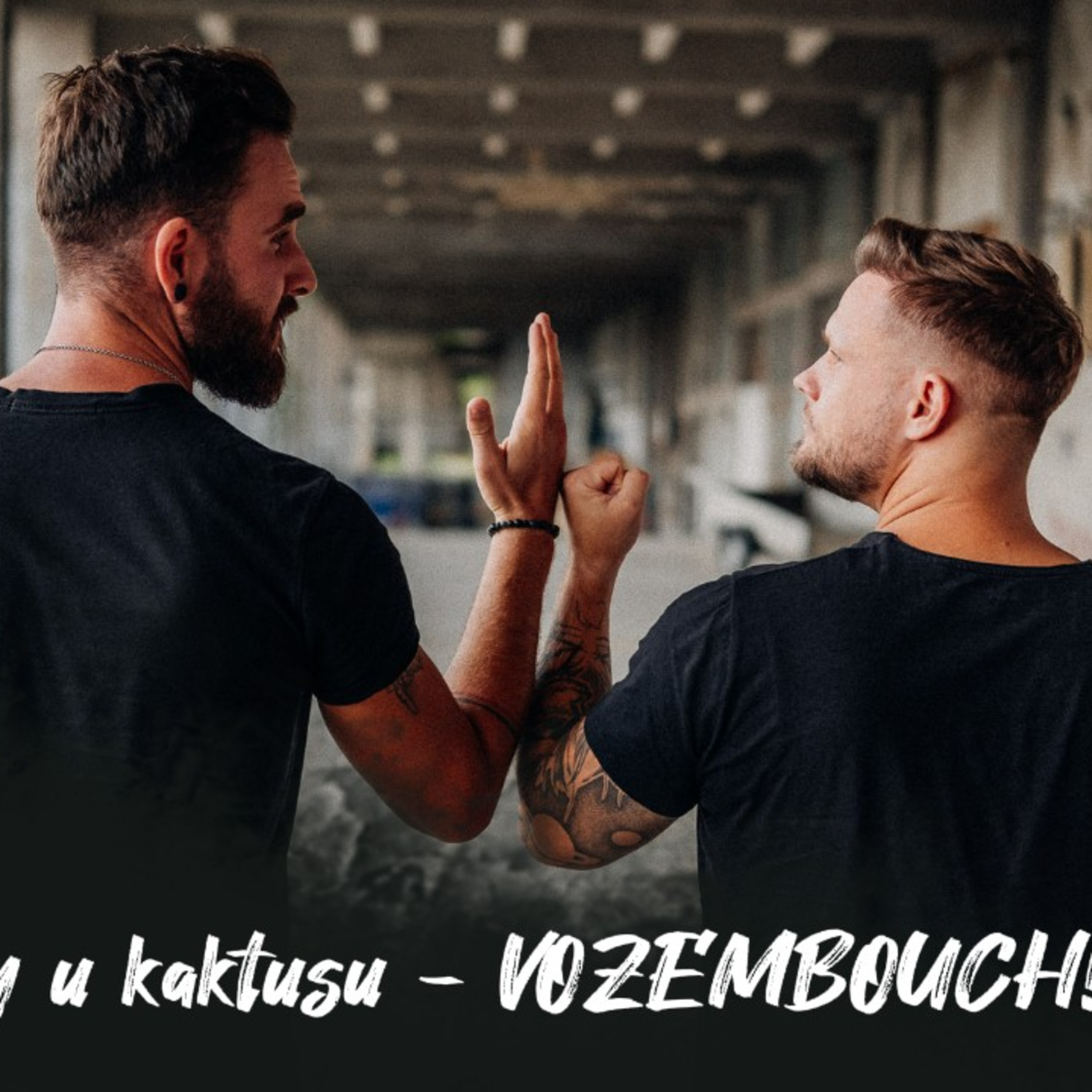 #7 Příběhy u kaktusu - Vozembouch | Dlouhý Široký episode artwork