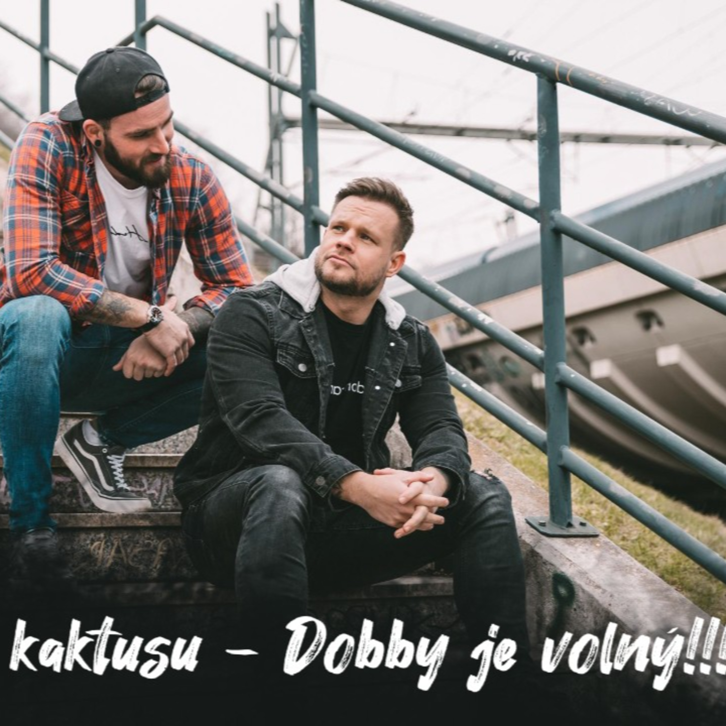 #11 Příběhy u kaktusu - Dobby je volný /// Nemůžeš odsuzoval obdařené muže | Dlouhý Široký episode artwork