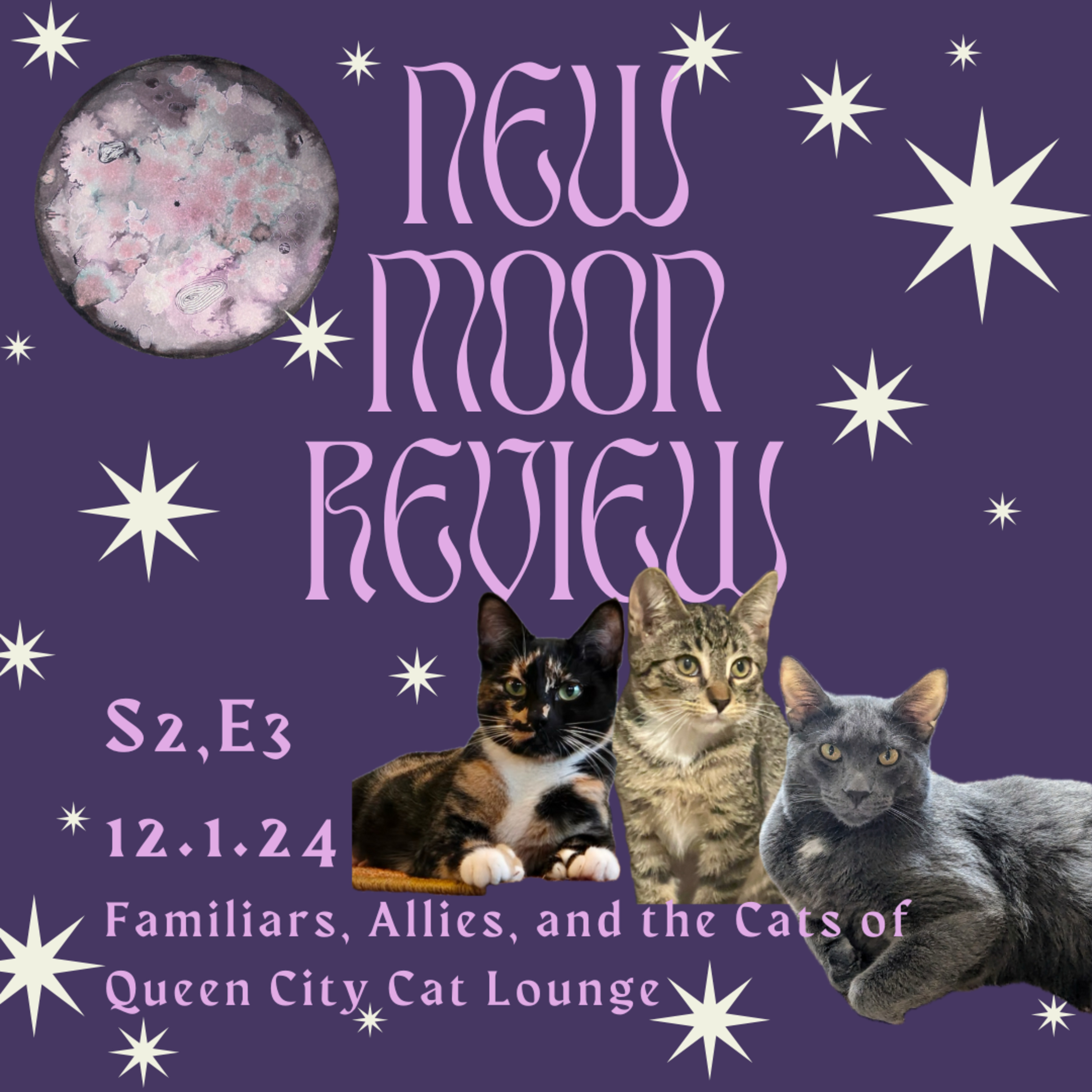 S2, Ep 3: Familiars, Allies, and the cats of Queen City Cat Lounge, December's New Moon in Sagittarius ♐️ 🌑 episode artwork