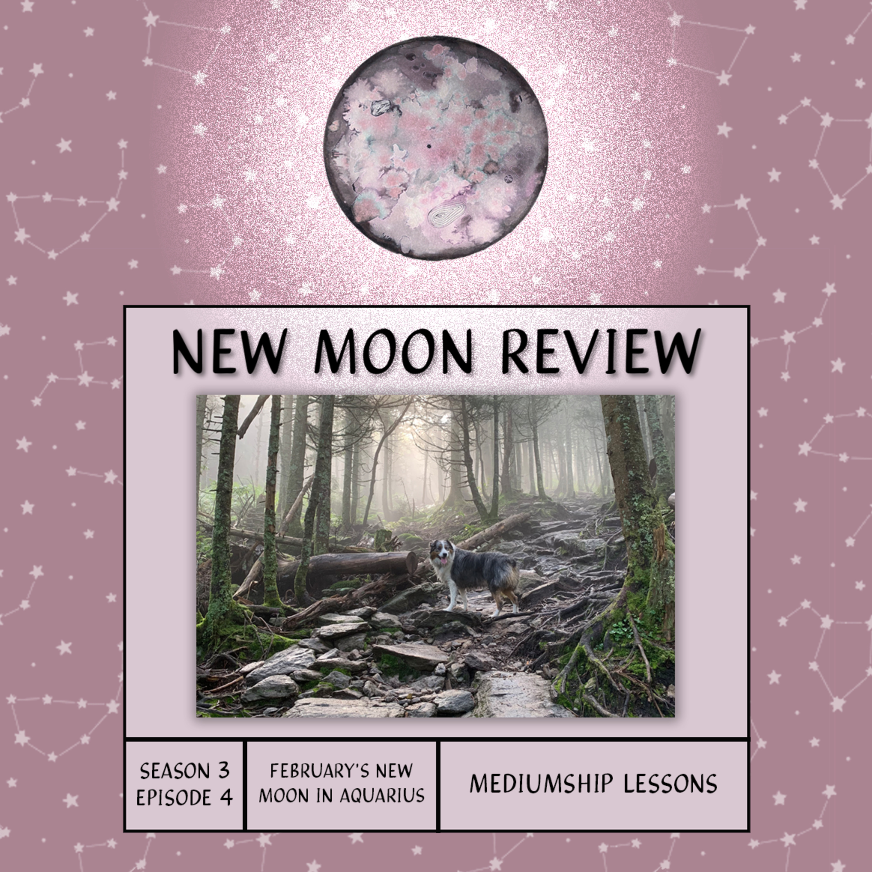 S3, Ep 4: Mediumship Lessons + February's New Moon in Aquarius ♒️ 🌑 episode artwork