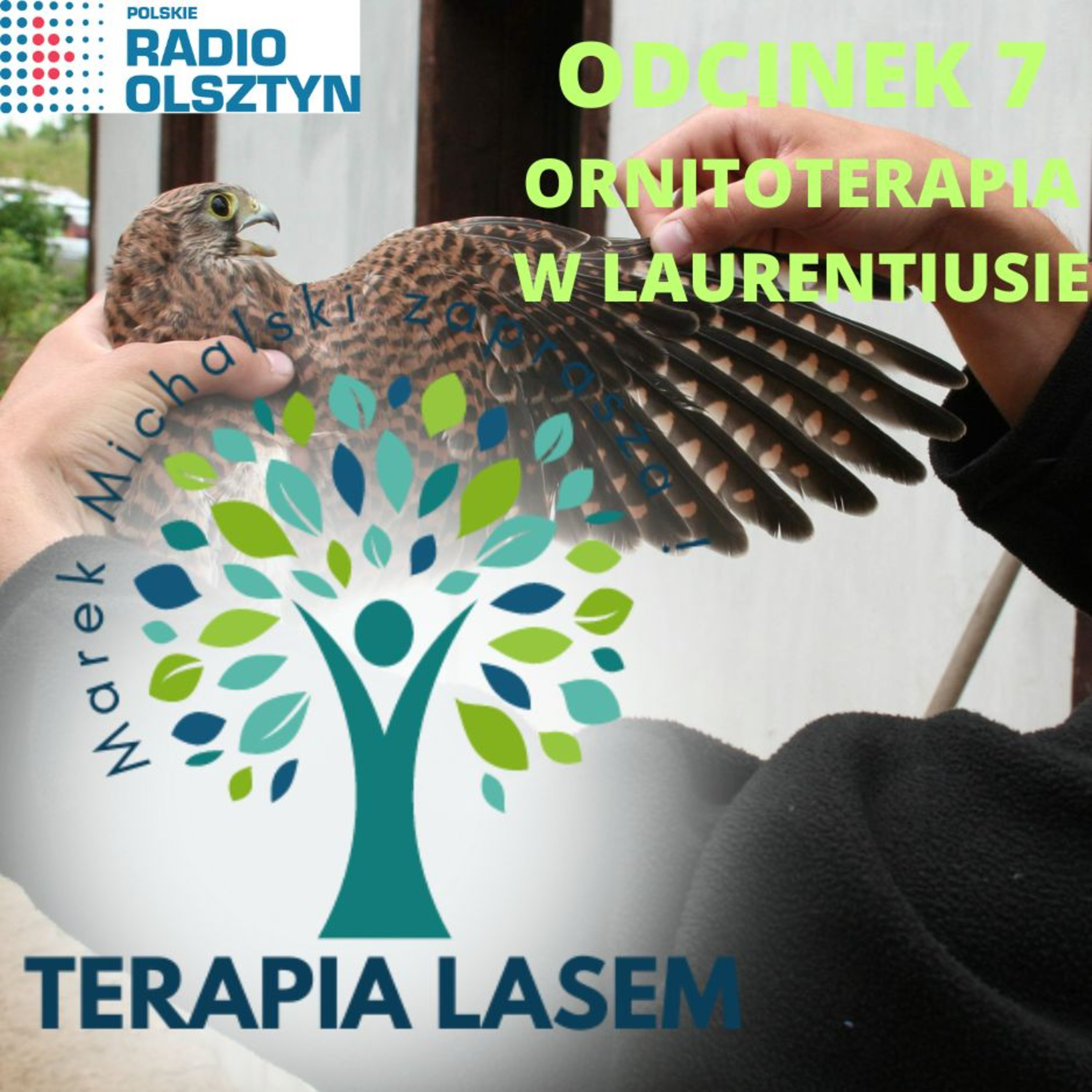 ORNITOTERAPIA W LAURENTIUSIE episode artwork