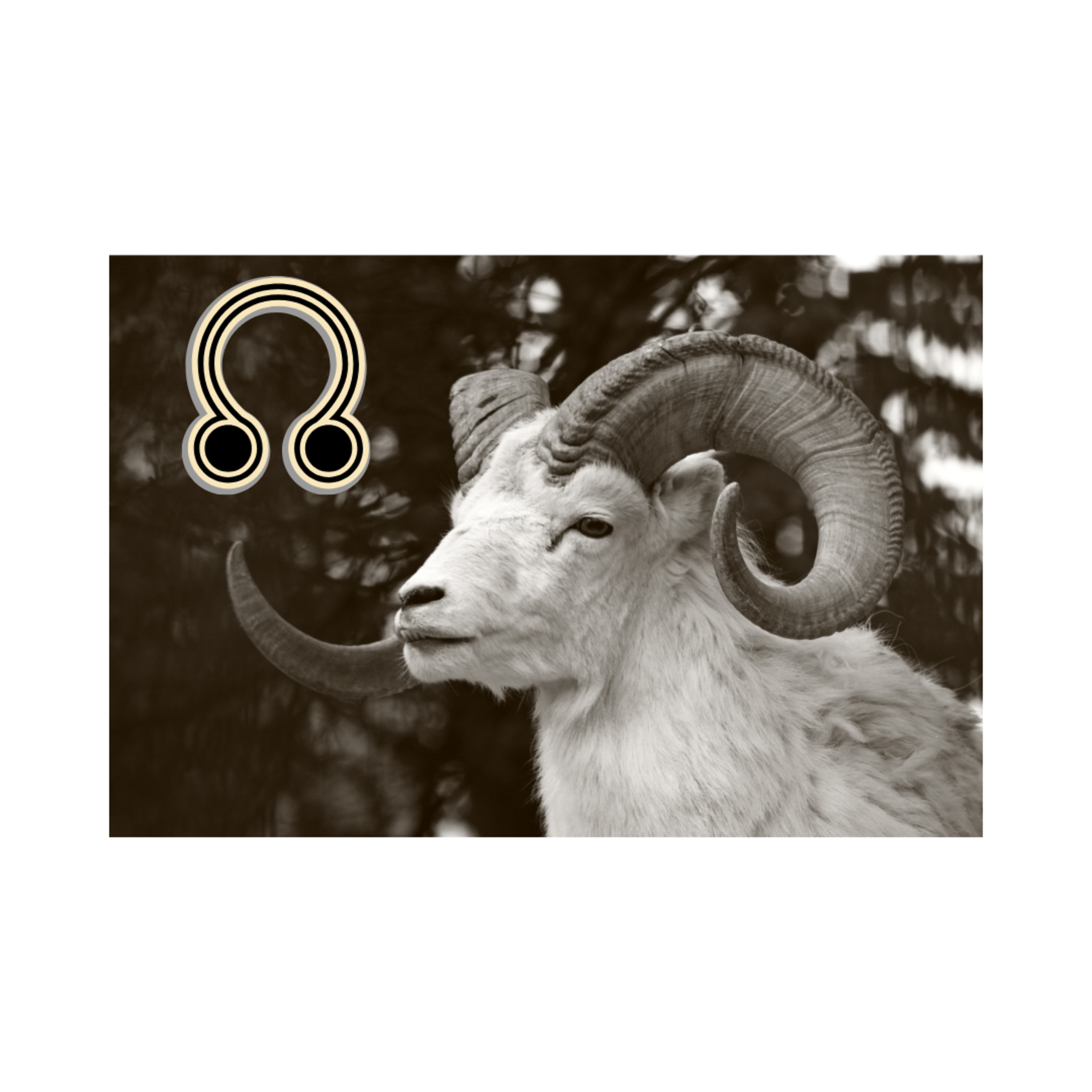 The Mirror Affect - Intuitive/Evolutionary Astrology