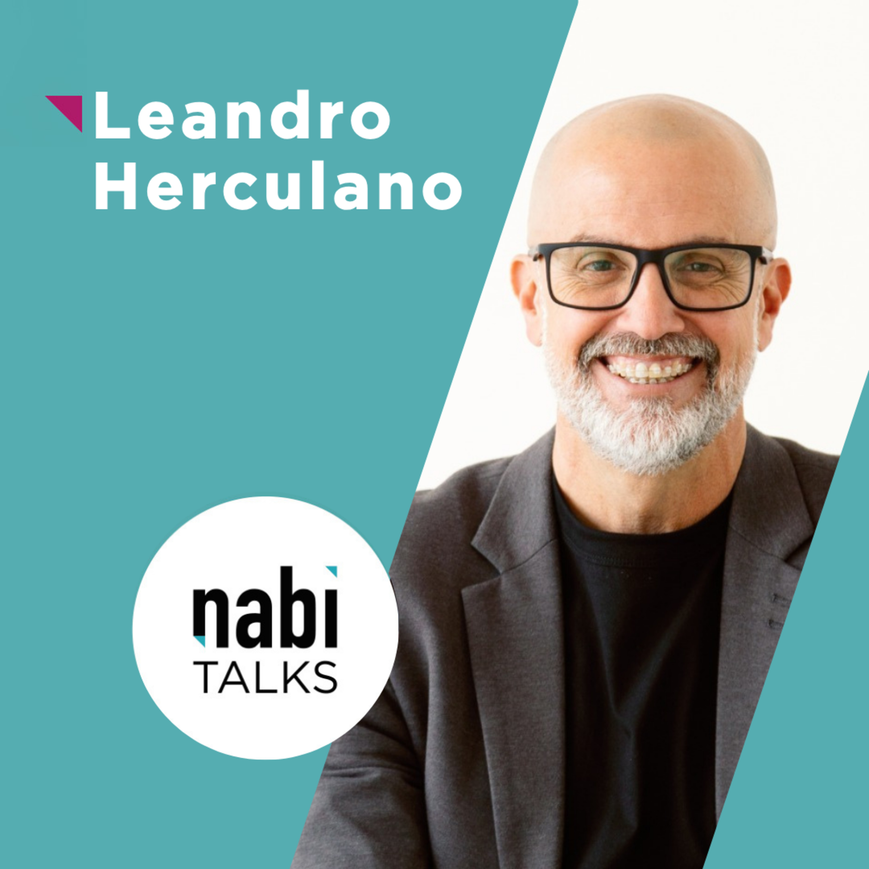 Nabi Talks