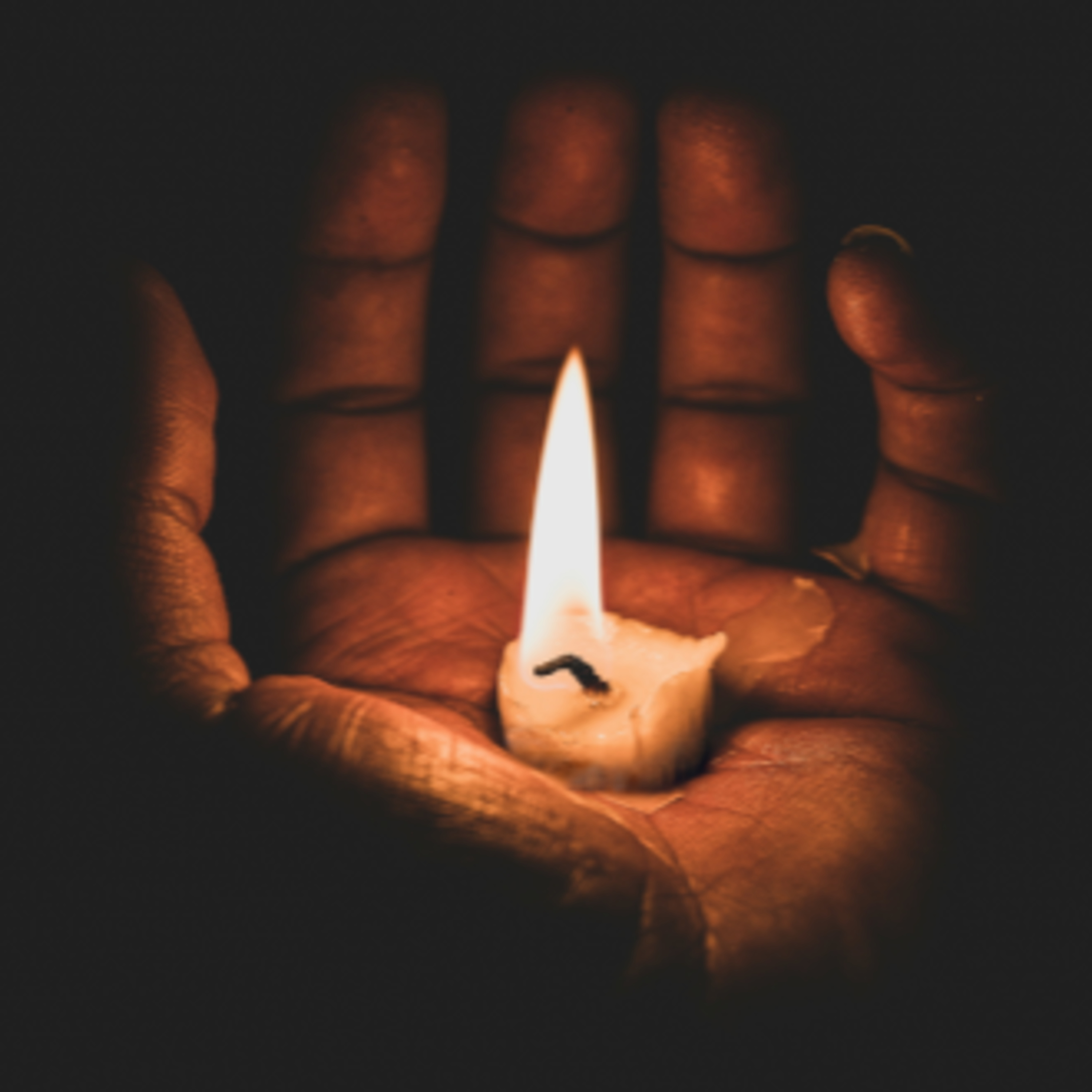 Mémoire, mort et transmission : récits d’un métier qui éclaire nos origines – Grégoire Deshoulières, généalogiste successoral