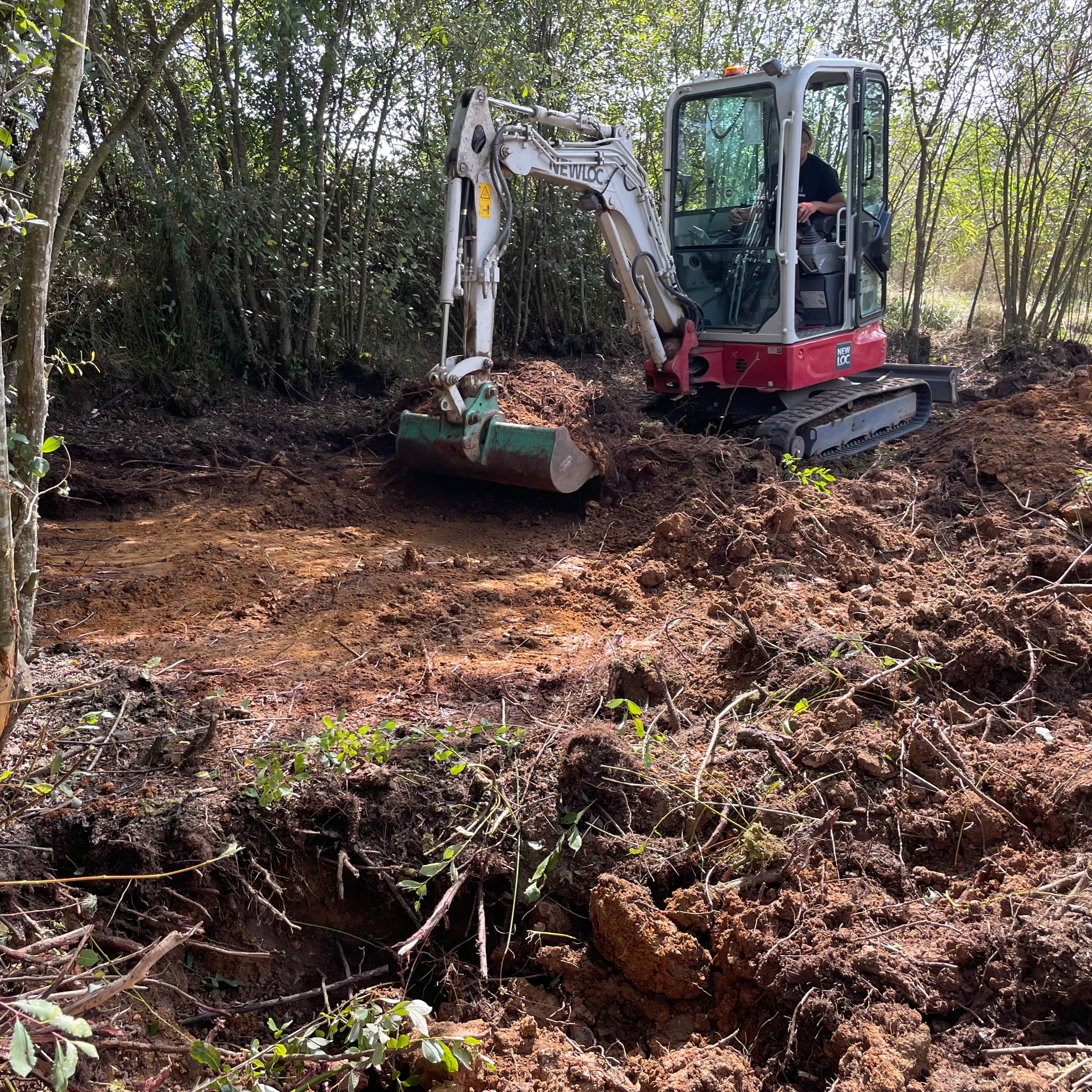 Silence, ça grouille ! Quand on restaure une mare vendéenne... - Lucile Auger