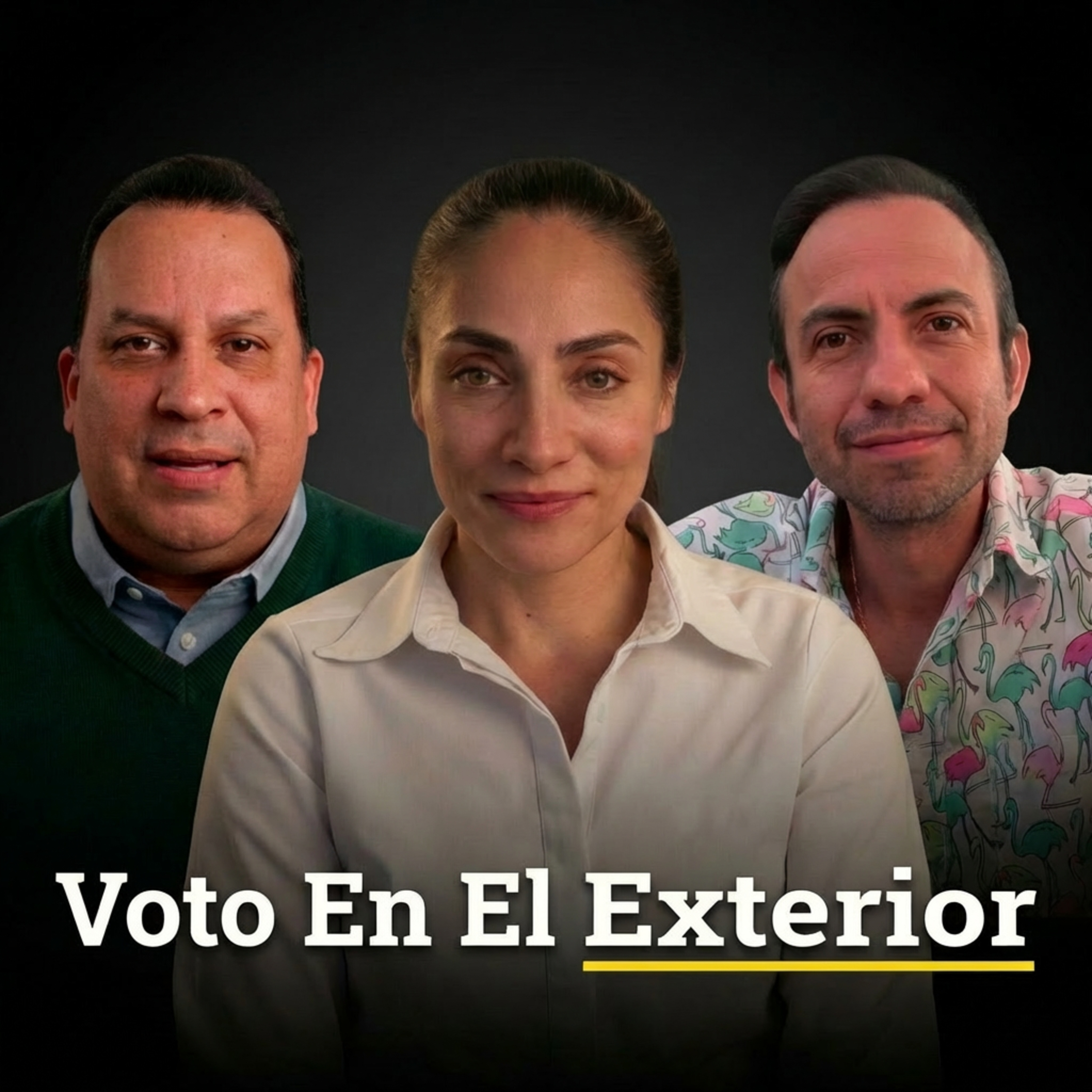 Colombianos en el exterior, elecciones | T8:E77