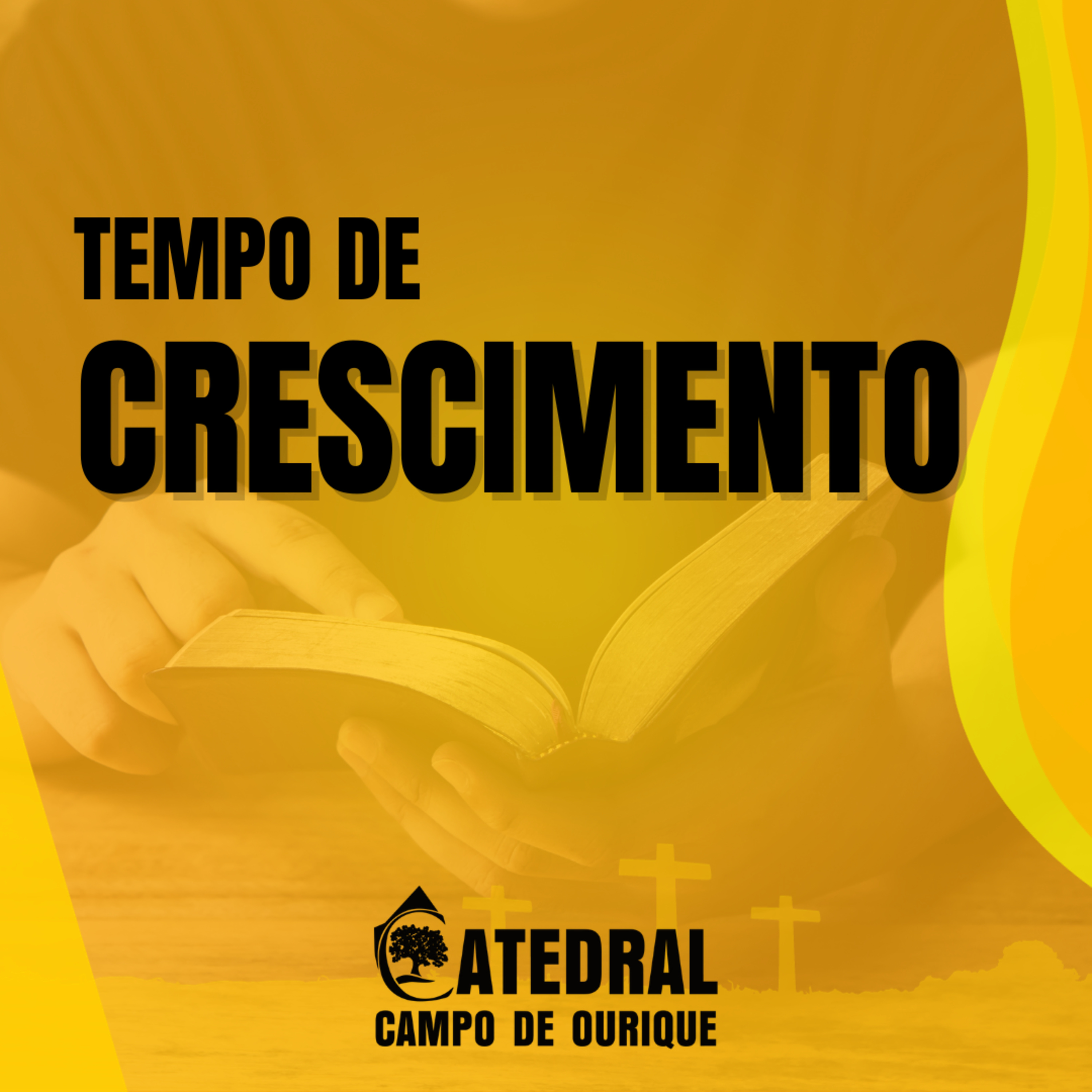 Tempo de Crescimento