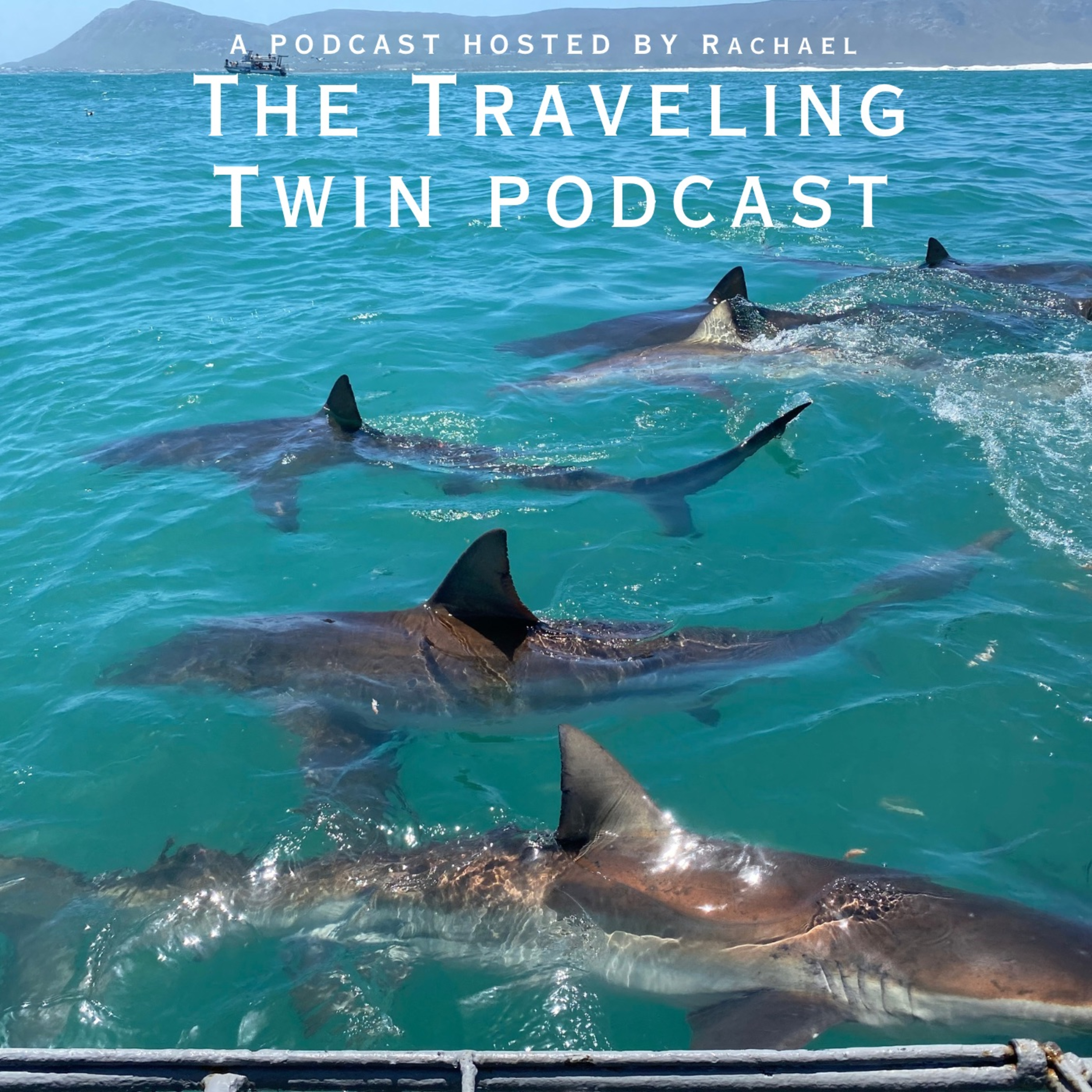 The Traveling Twin Podcast