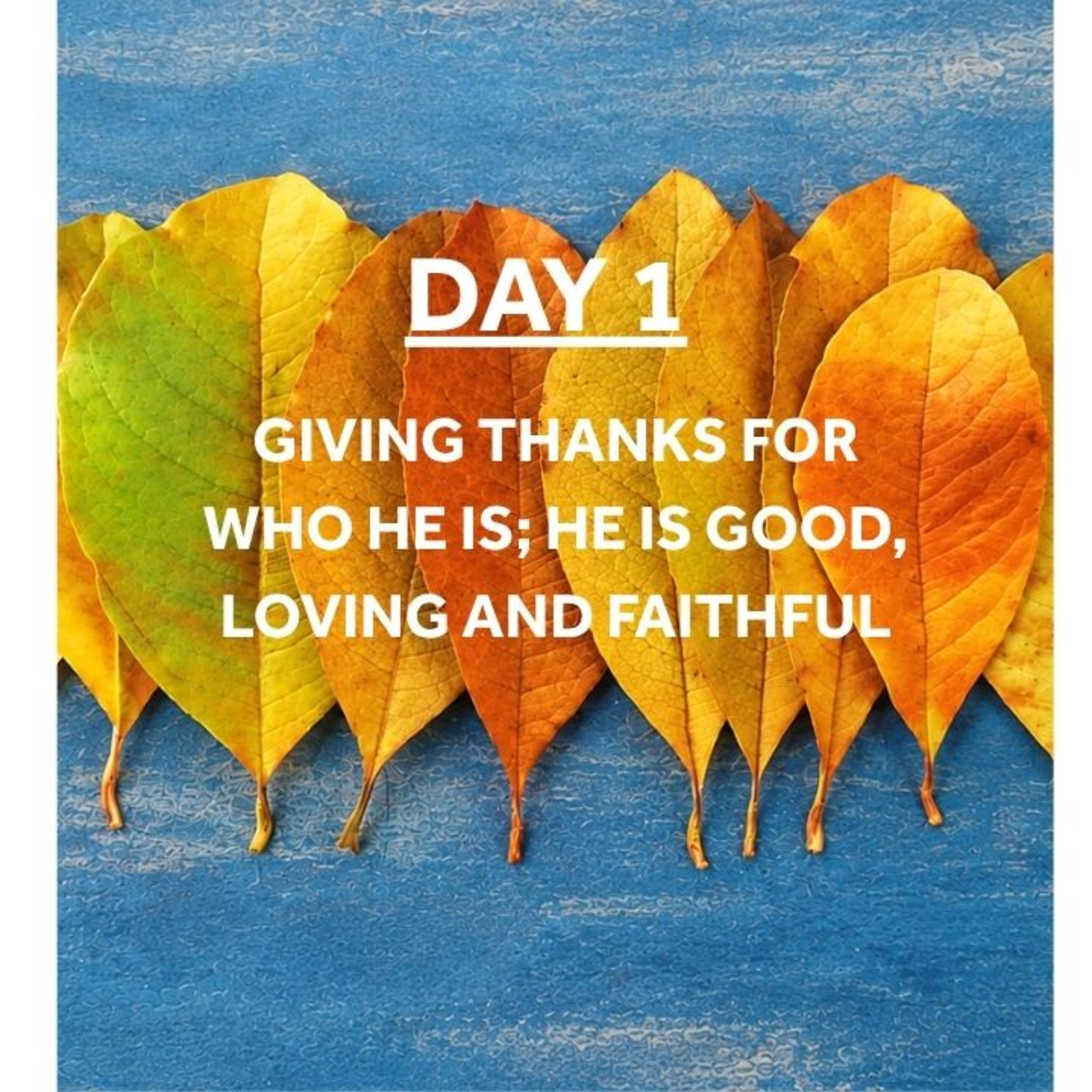 WEEK OF GRATITUDE- DAY 1: GIVING THANKS FOR WHO HE IS