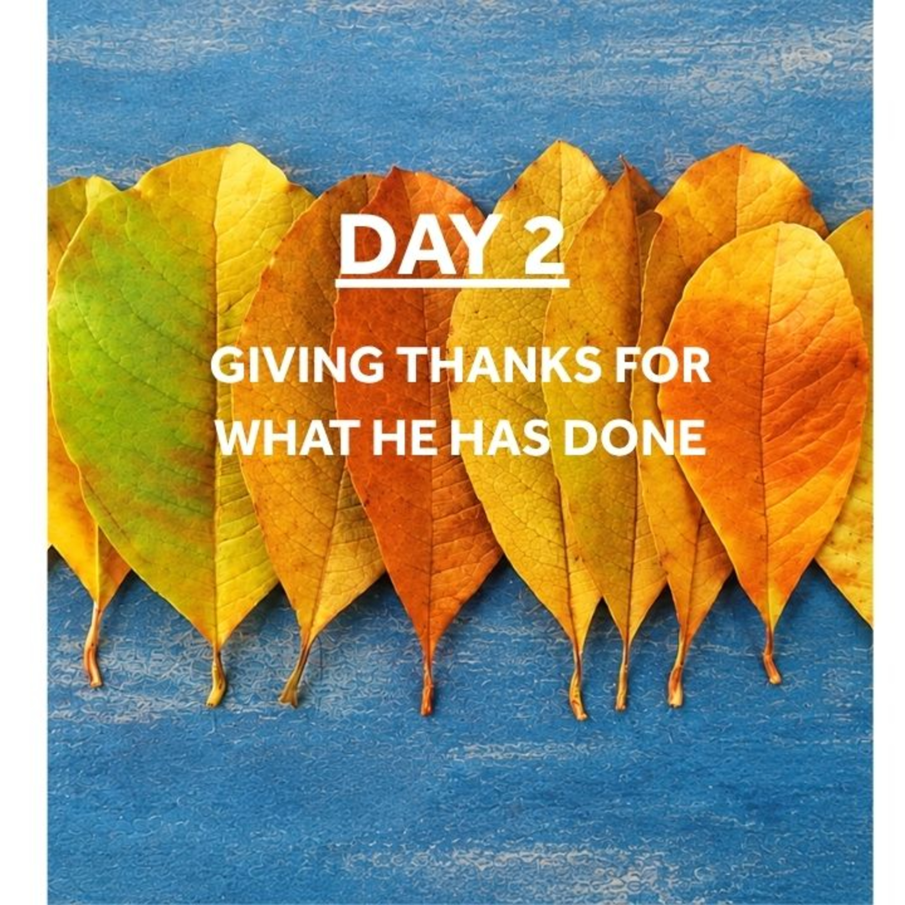 WEEK OF GRATITUDE - DAY 2: GIVING THANKS FOR WHAT HE HAS DONE
