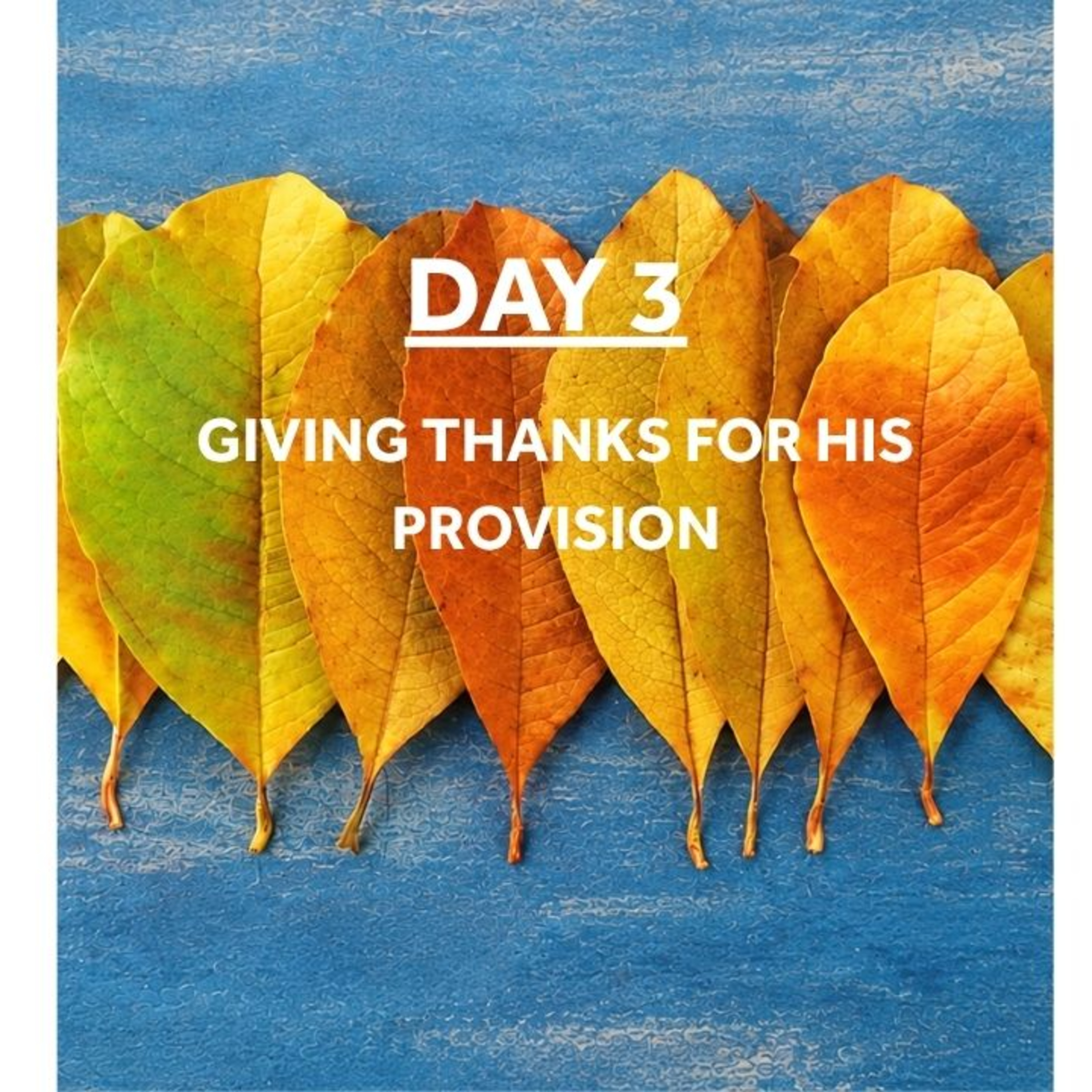 WEEK OF GRATITUDE - DAY 3: GIVING THANKS FOR HIS PROVISION
