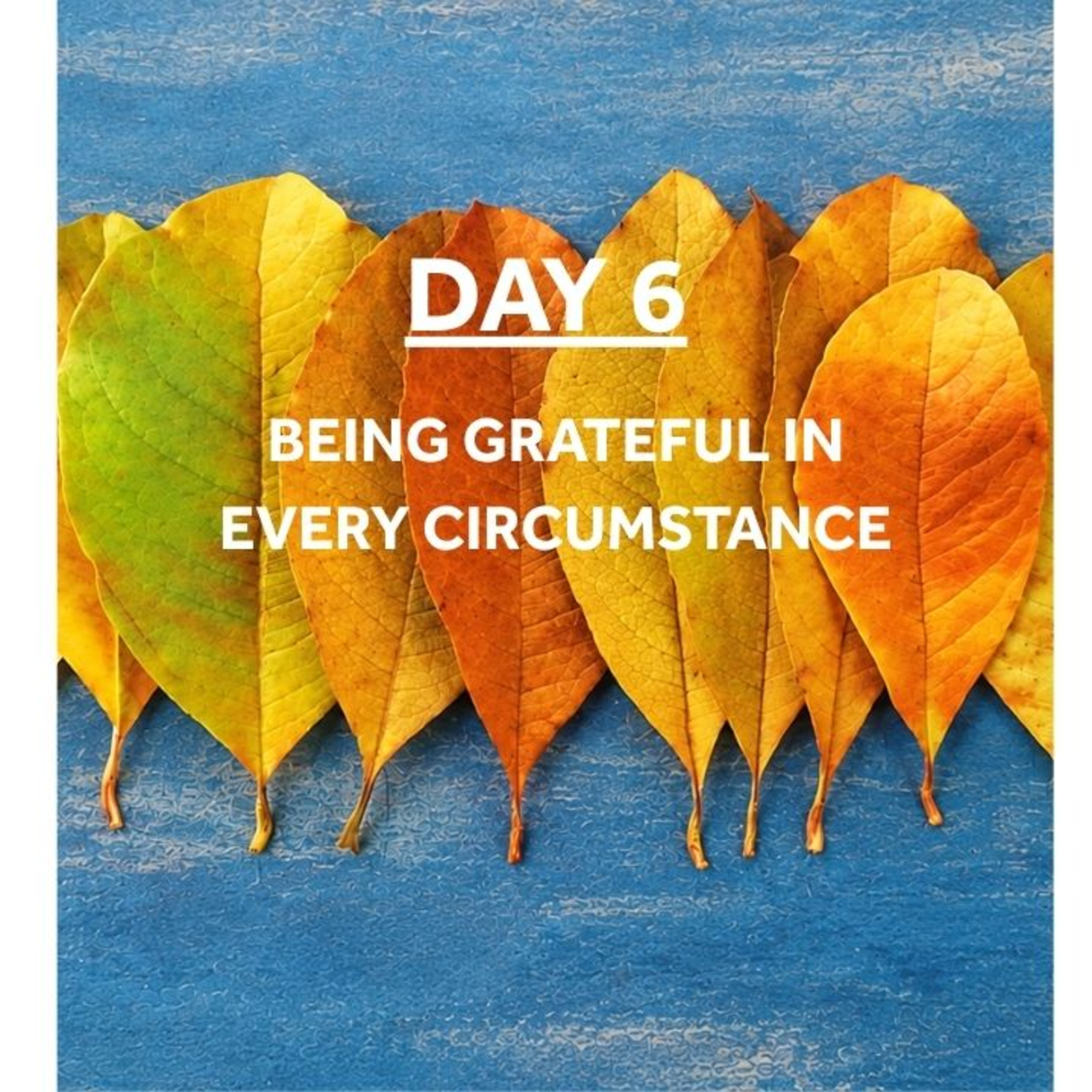WEEK OF GRATITUDE - DAY 6: BEING GRATEFUL IN EVERY CIRCUMSTANCE
